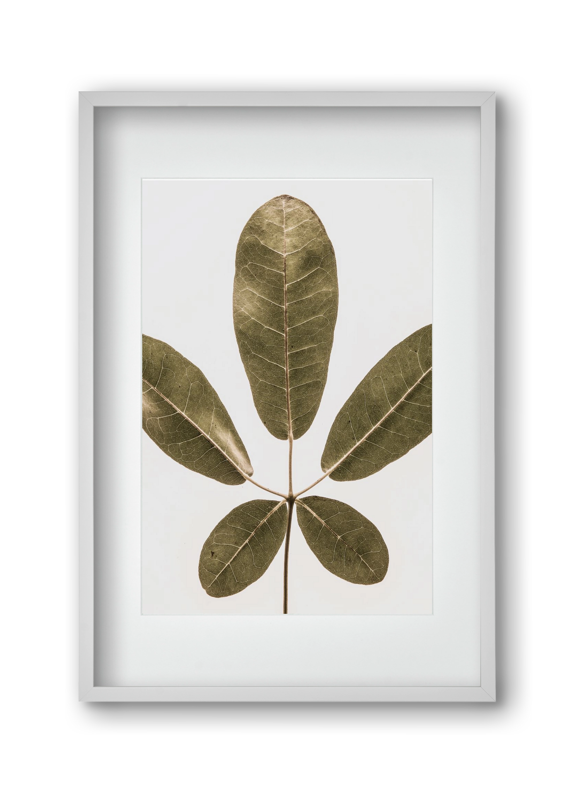 Autumn leaf, 30x45 cm (20x30 cm), Fehér keret, paszpartuval