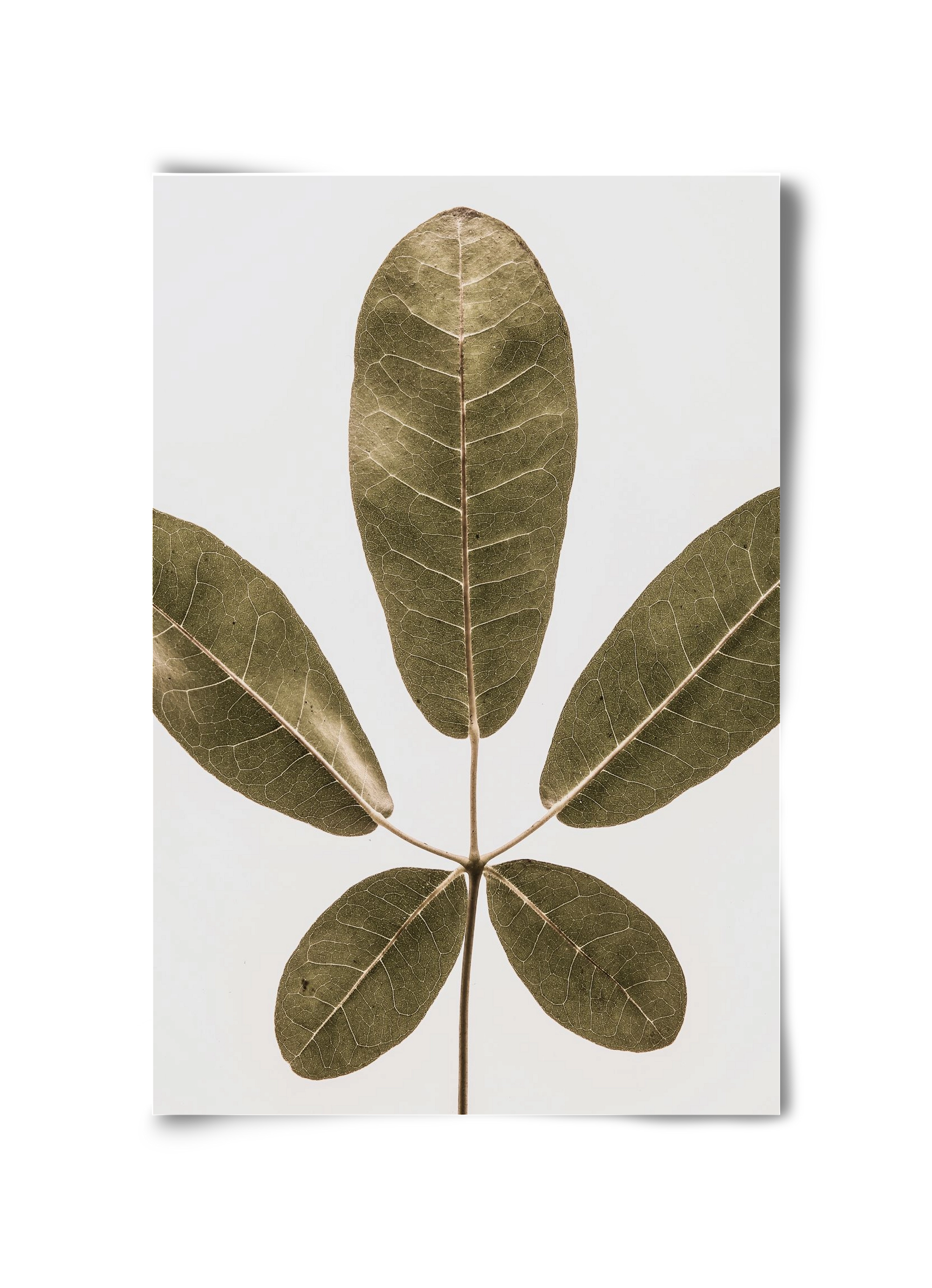 Autumn leaf, 30x45 cm, Keret nélkül