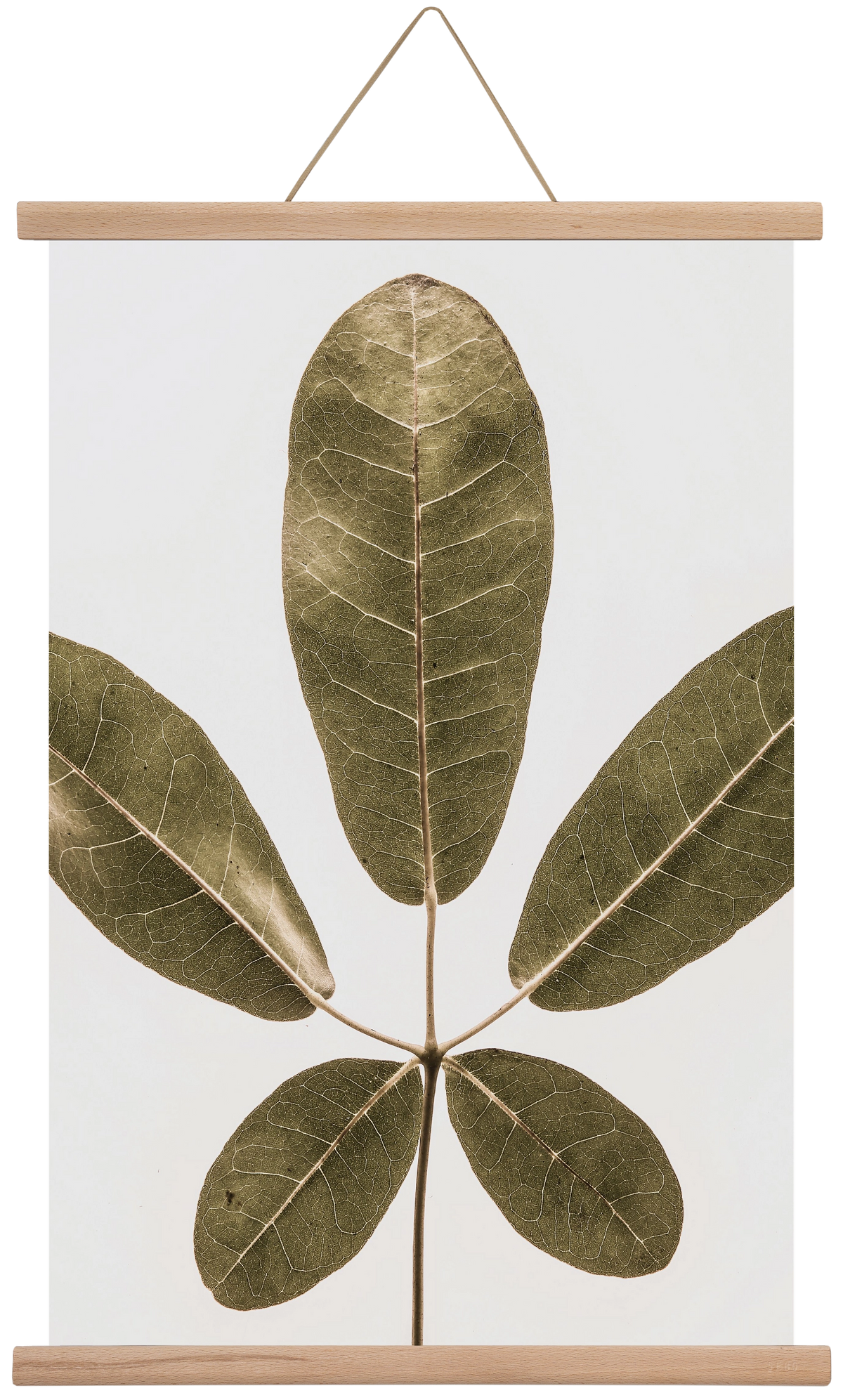 Autumn leaf, 40x60 cm (40x60 cm), Tölgy akasztó