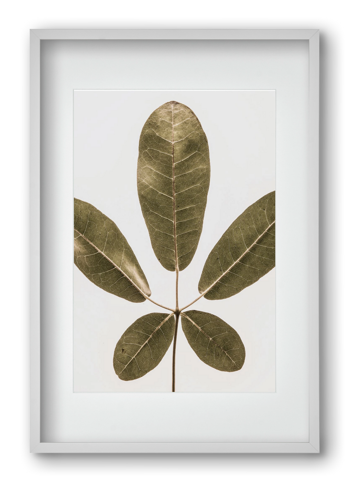 Autumn leaf, 40x60 cm (30x45 cm), Fehér keret, paszpartuval