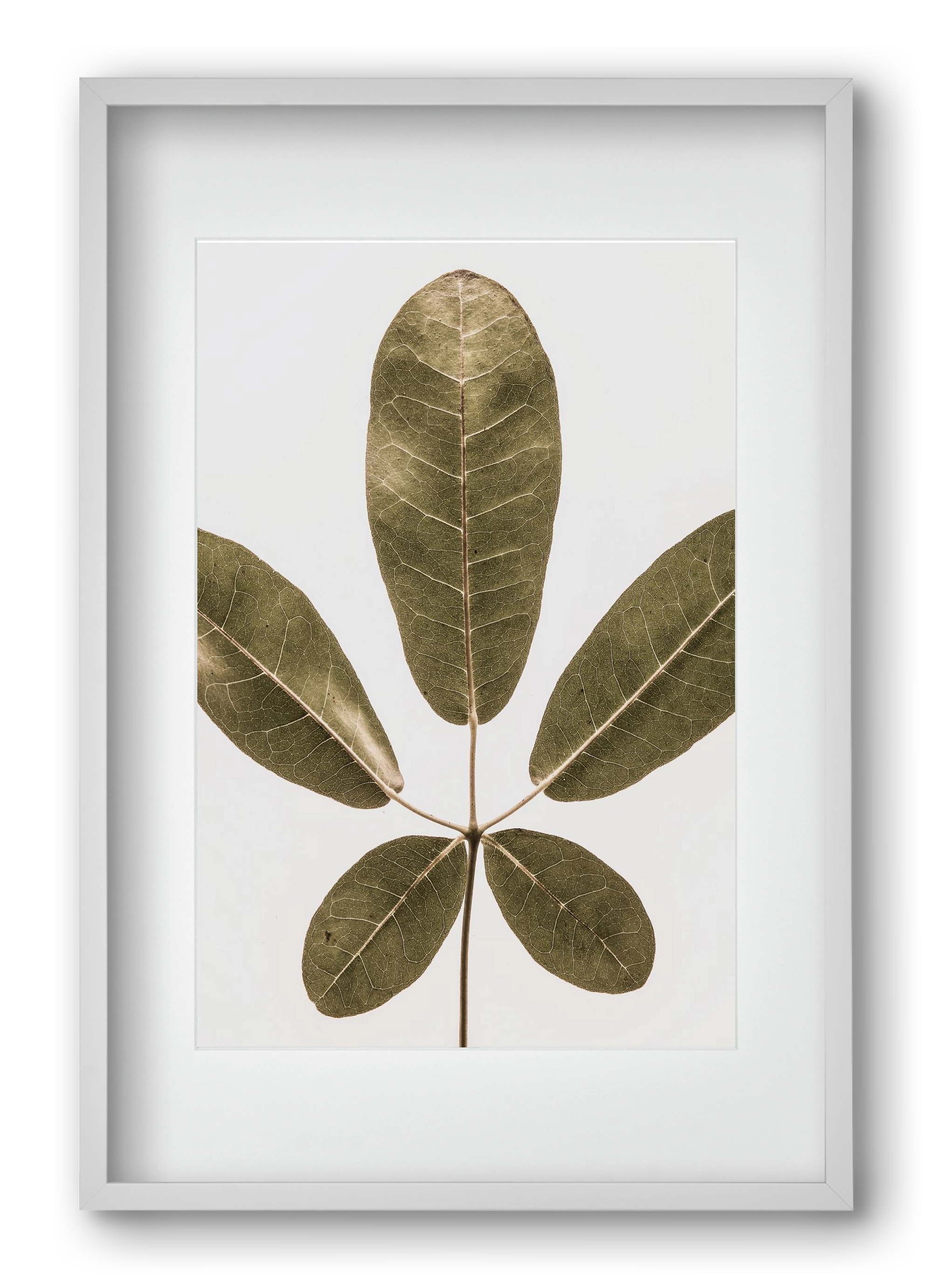 Autumn leaf, 40x60 cm (30x45 cm), Fehér keret, paszpartuval