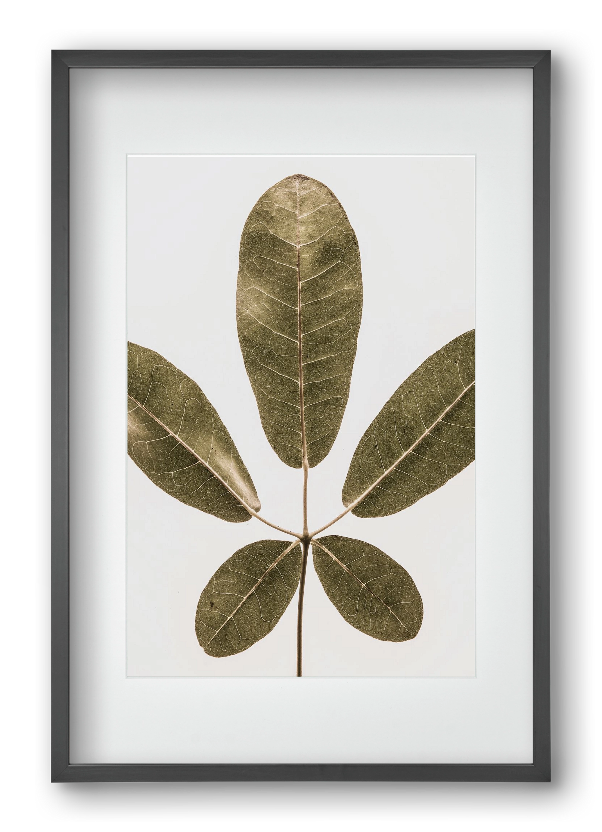 Autumn leaf, 40x60 cm (30x45 cm), Fekete keret, paszpartuval