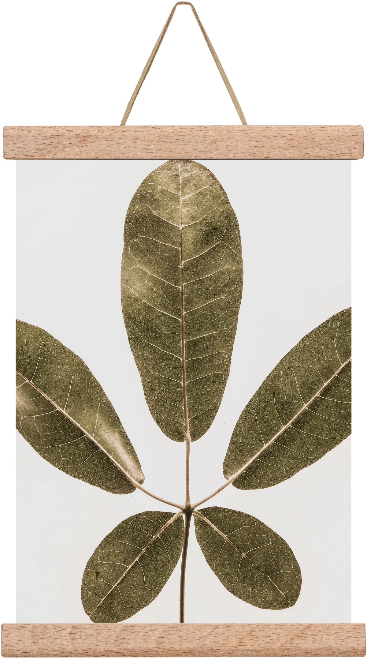 Autumn leaf, 20x30 cm (20x30 cm), Tölgy akasztó