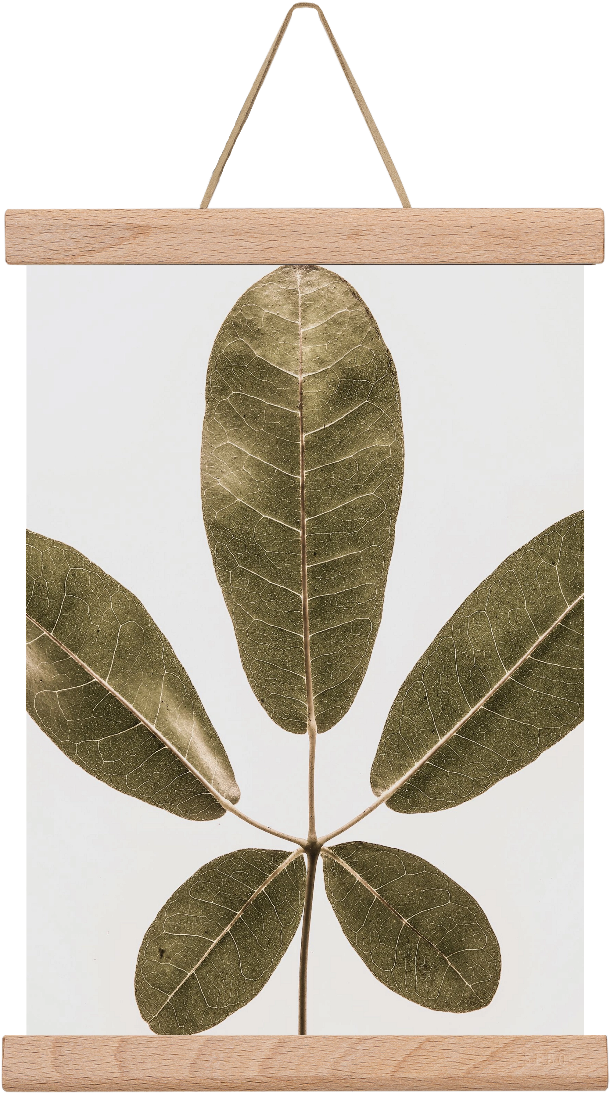 Autumn leaf, 20x30 cm (20x30 cm), Tölgy akasztó