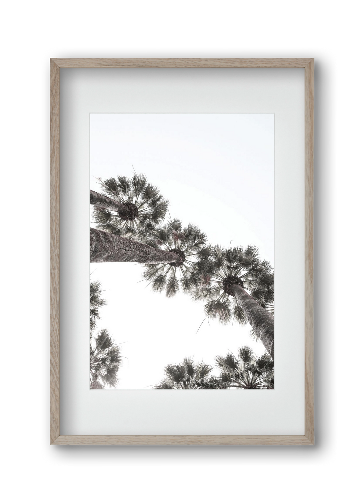 Bodrum Plams, 30x45 cm (20x30 cm), Tölgy keret, paszpartuval