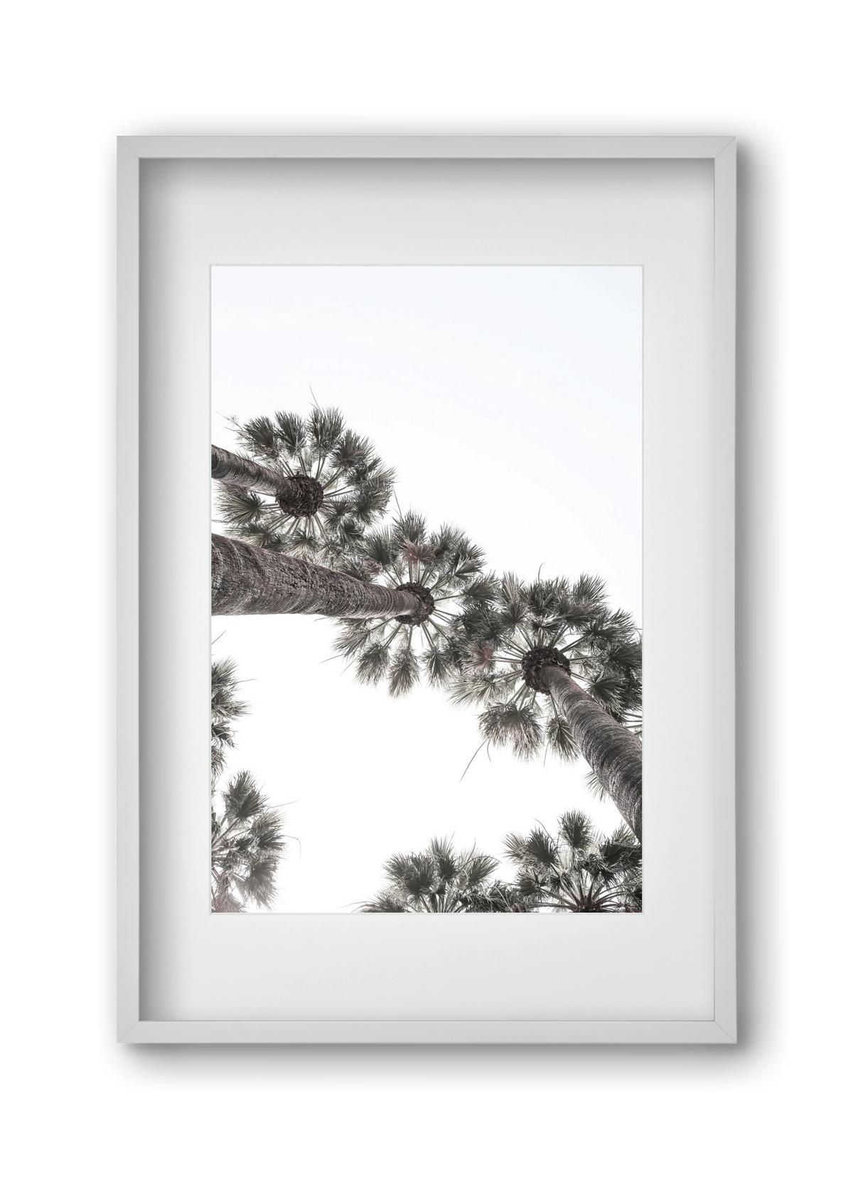 Bodrum Plams, 30x45 cm (20x30 cm), Fehér keret, paszpartuval