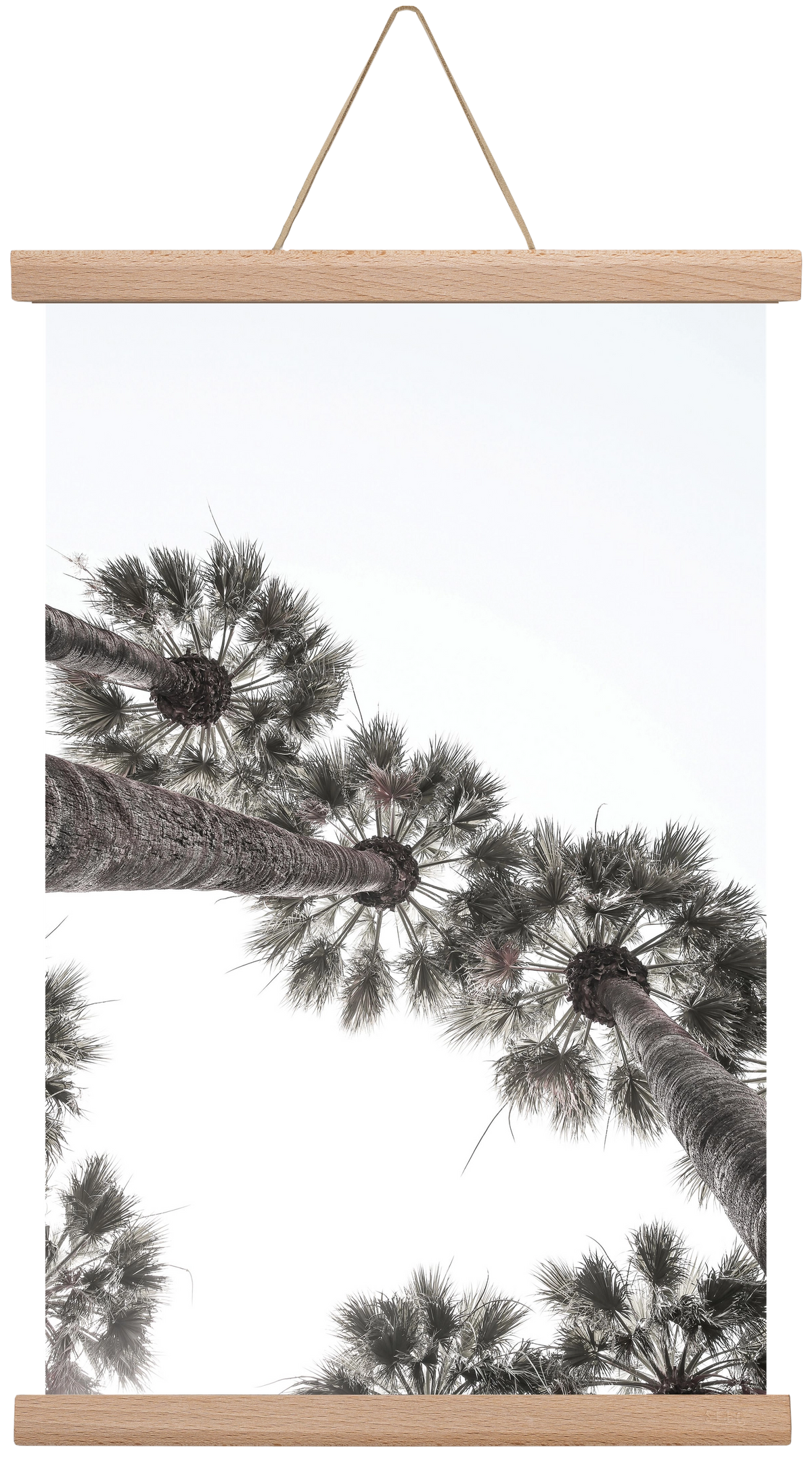Bodrum Plams, 30x45 cm (30x45 cm), Tölgy akasztó