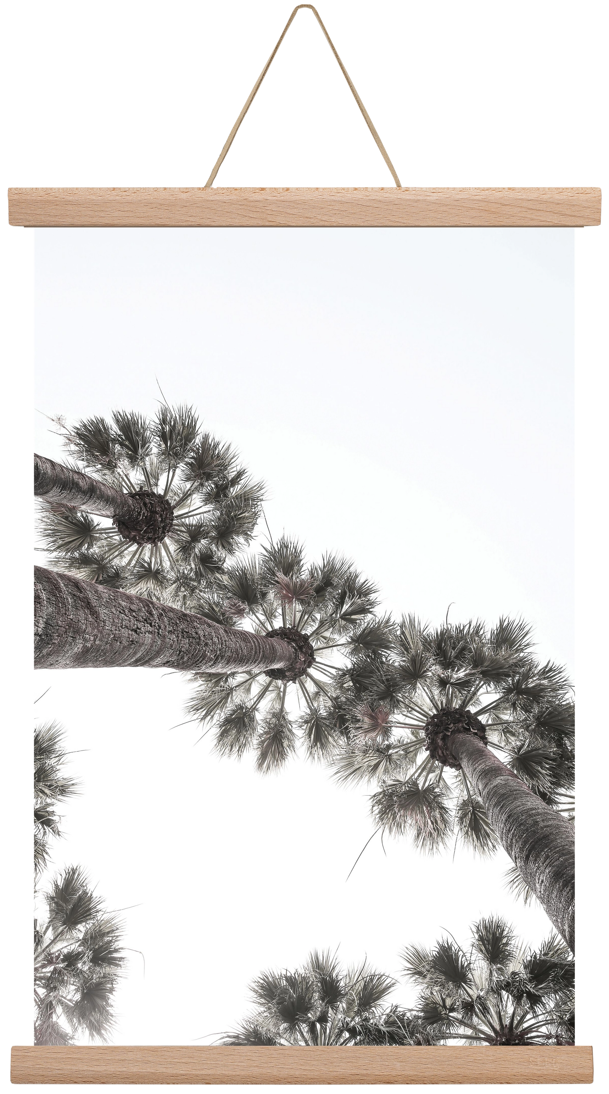 Bodrum Plams, 30x45 cm (30x45 cm), Tölgy akasztó