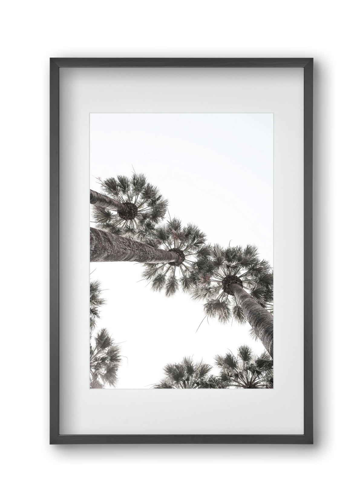 Bodrum Plams, 30x45 cm (20x30 cm), Fekete keret, paszpartuval