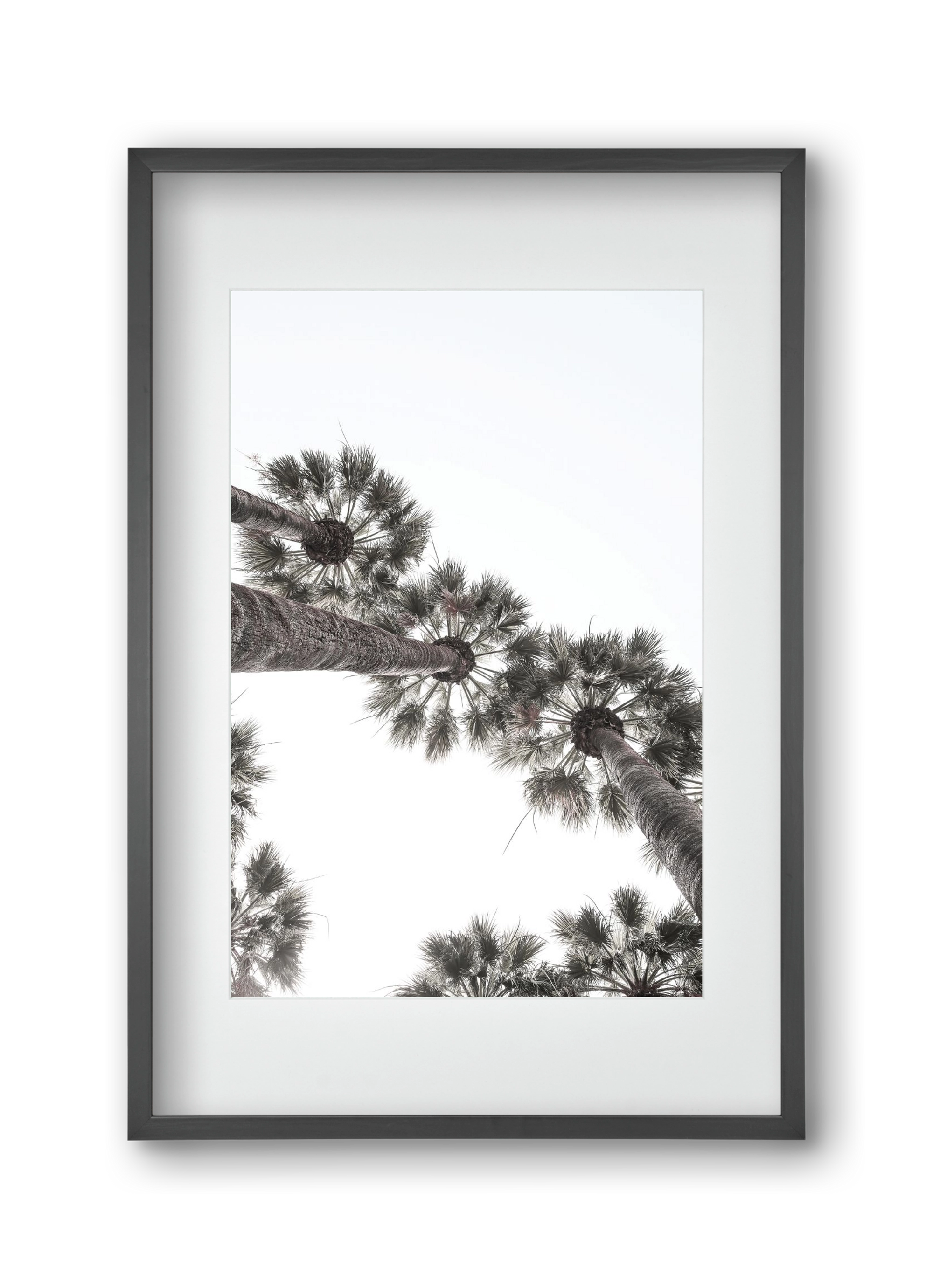 Bodrum Plams, 30x45 cm (20x30 cm), Fekete keret, paszpartuval