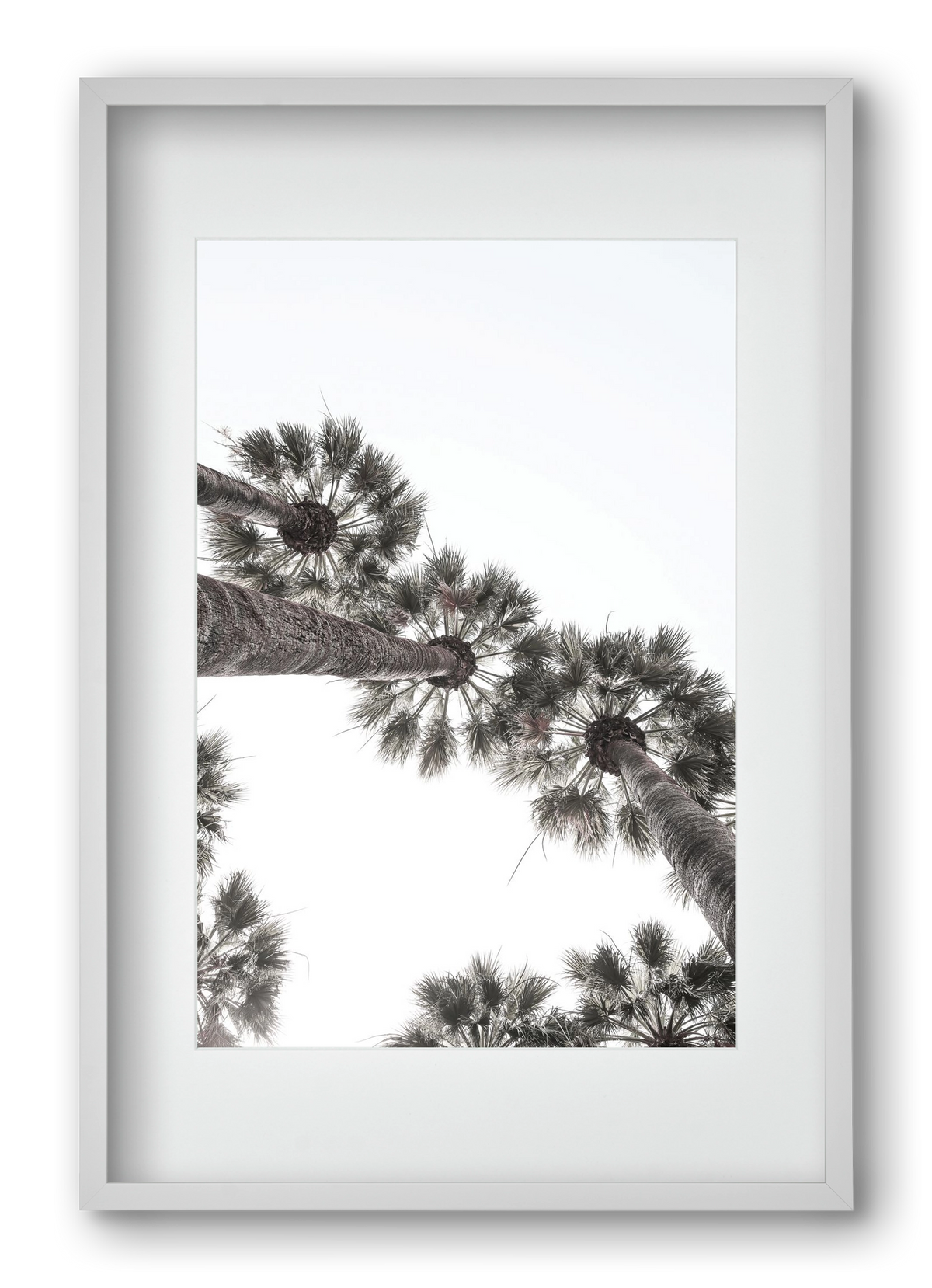 Bodrum Plams, 40x60 cm (30x45 cm), Fehér keret, paszpartuval