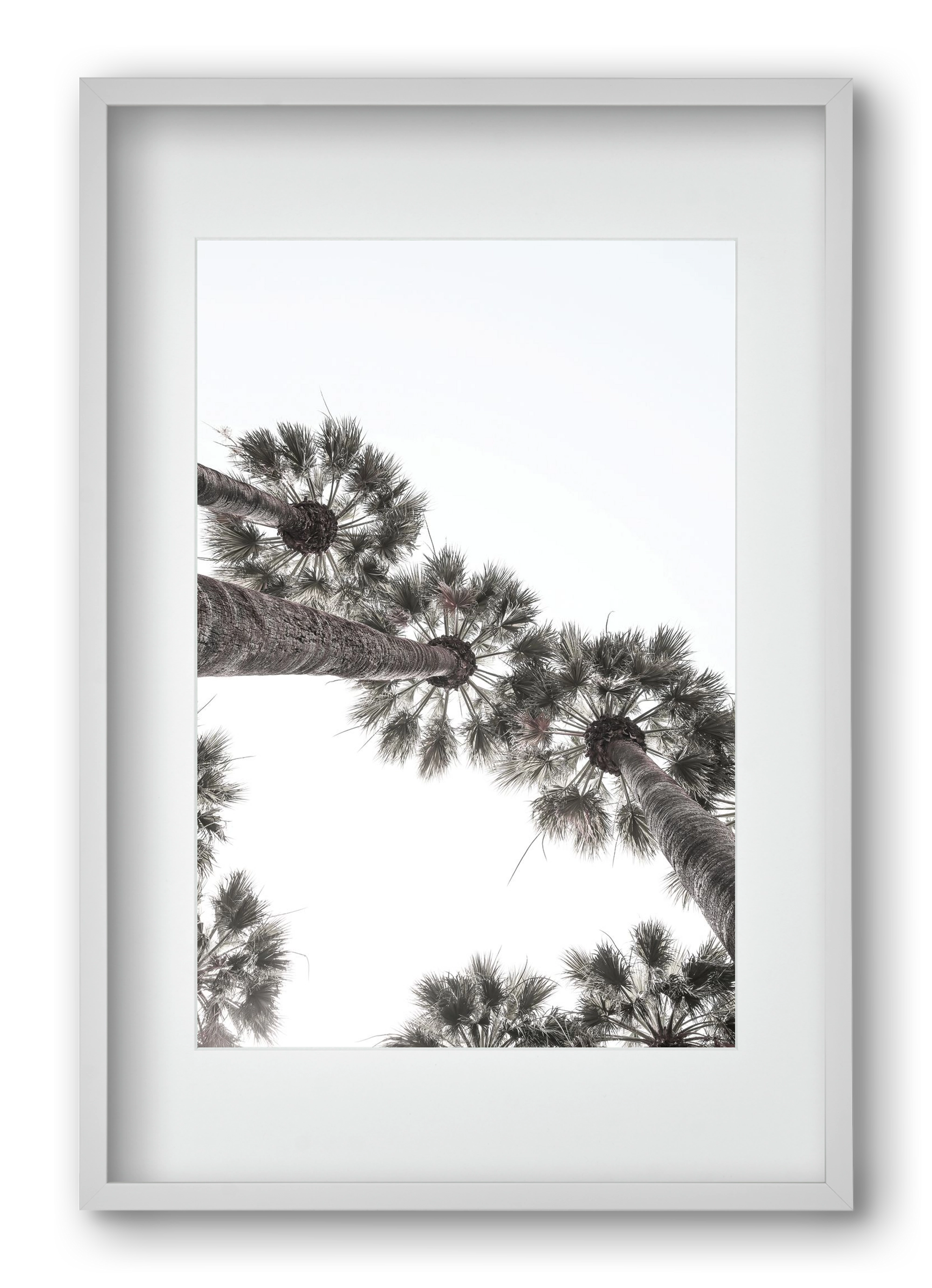 Bodrum Plams, 40x60 cm (30x45 cm), Fehér keret, paszpartuval