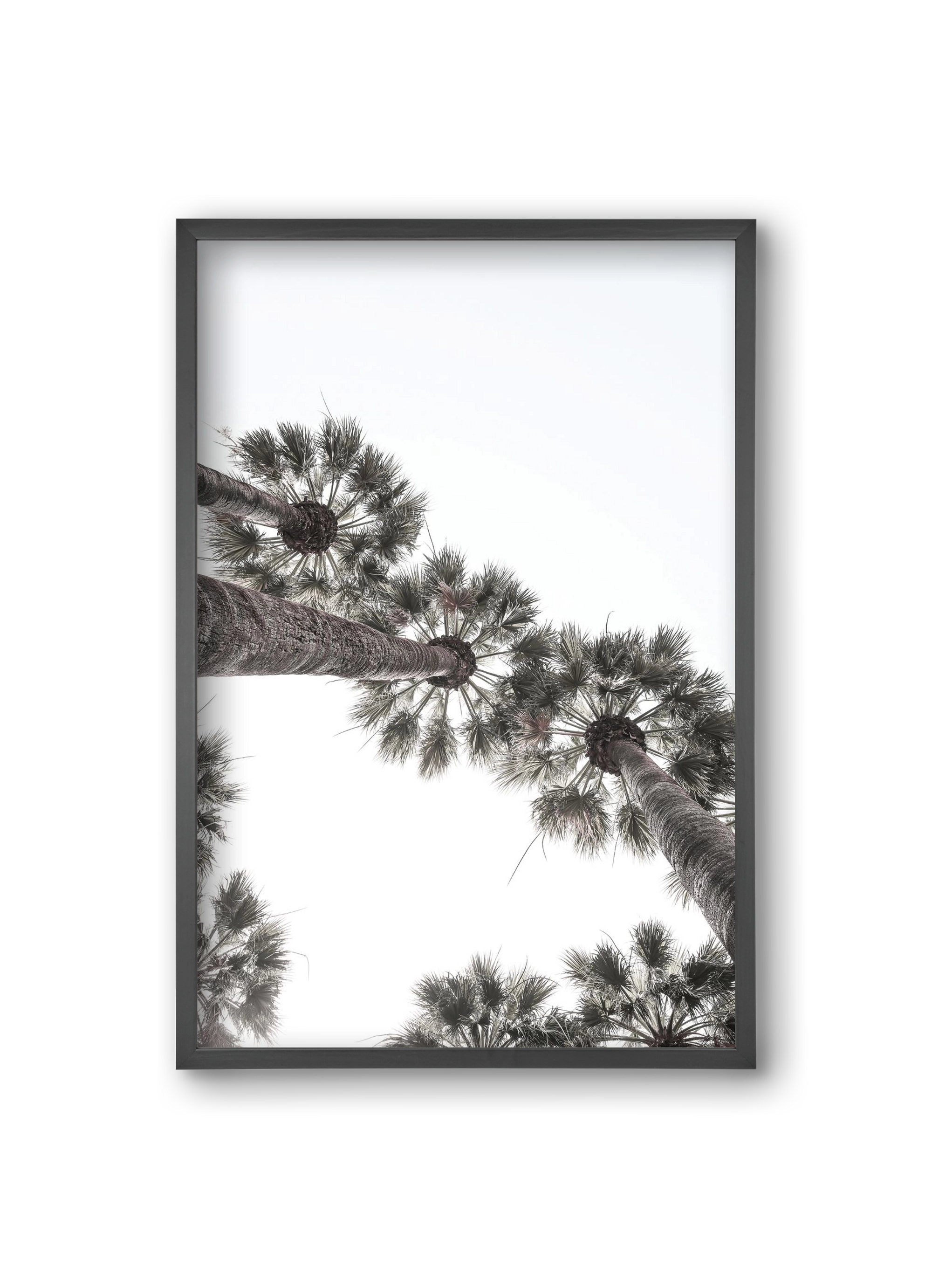 Bodrum Plams, 20x30 cm (20x30 cm), Fekete keret