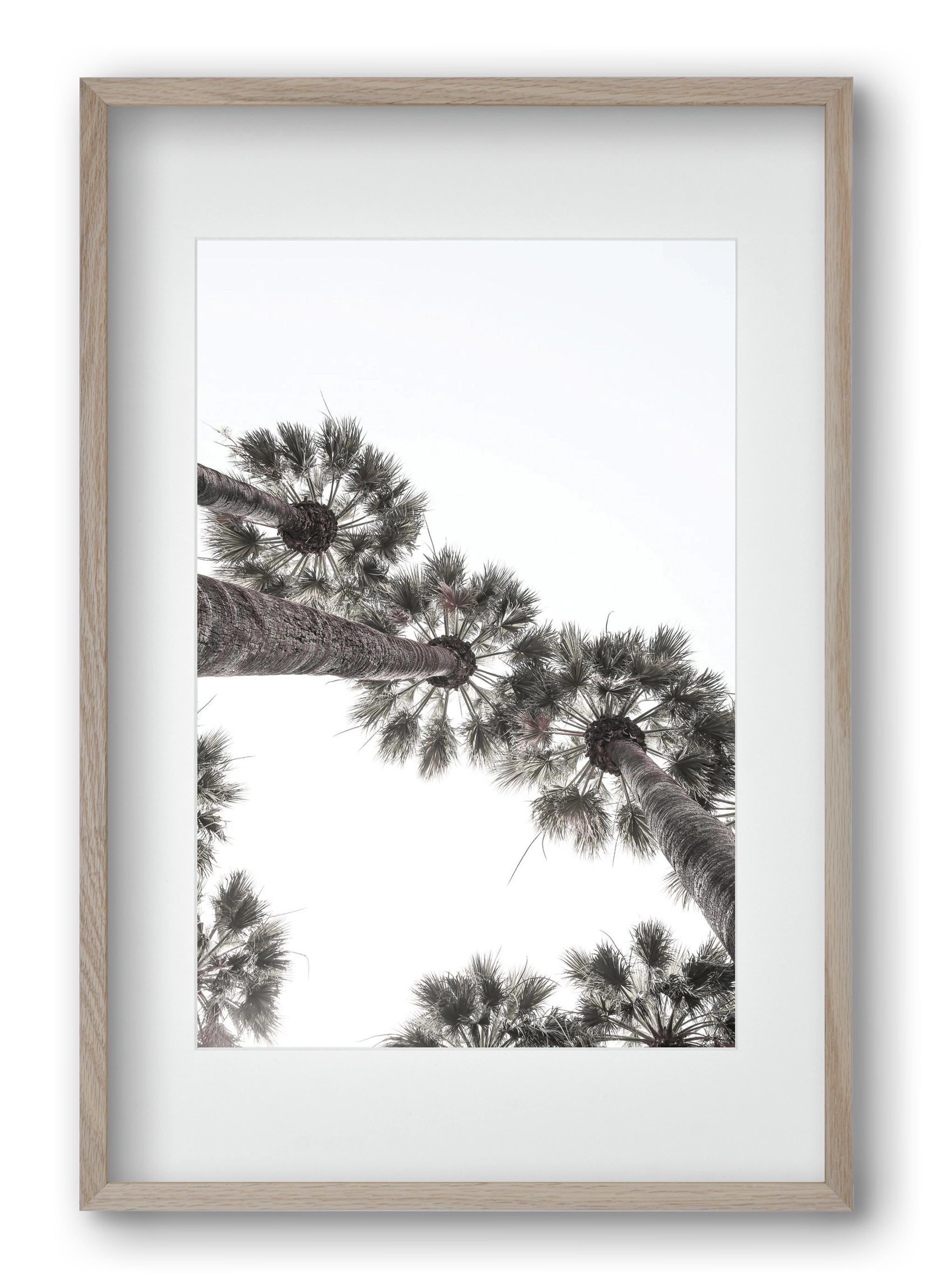 Bodrum Plams, 40x60 cm (30x45 cm), Tölgy keret, paszpartuval