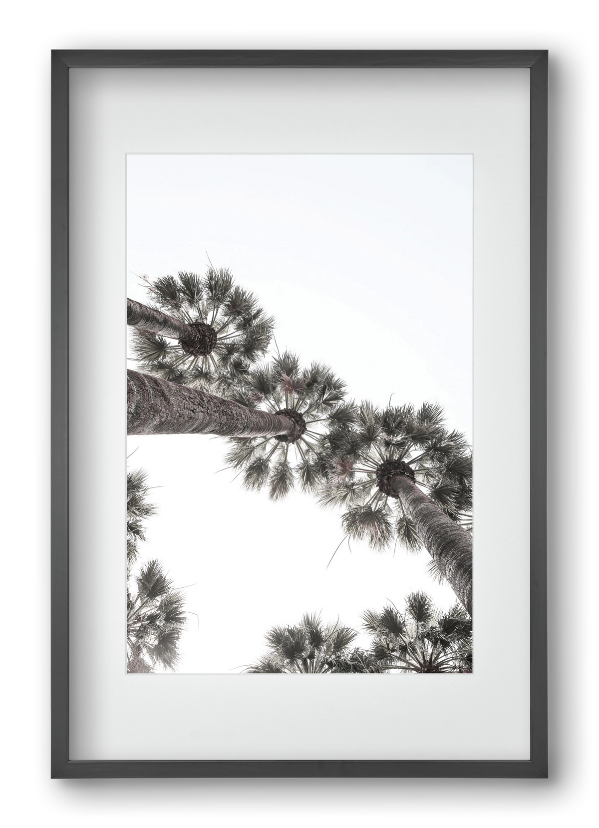 Bodrum Plams, 40x60 cm (30x45 cm), Fekete keret, paszpartuval