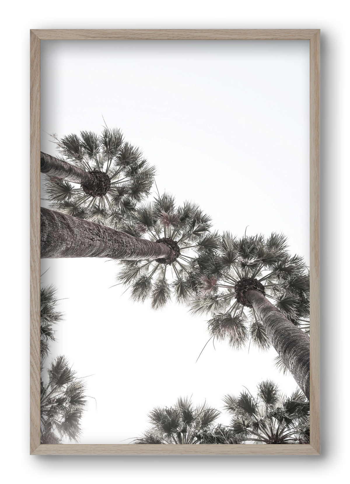 Bodrum Plams, 40x60 cm (40x60 cm), Tölgy keret