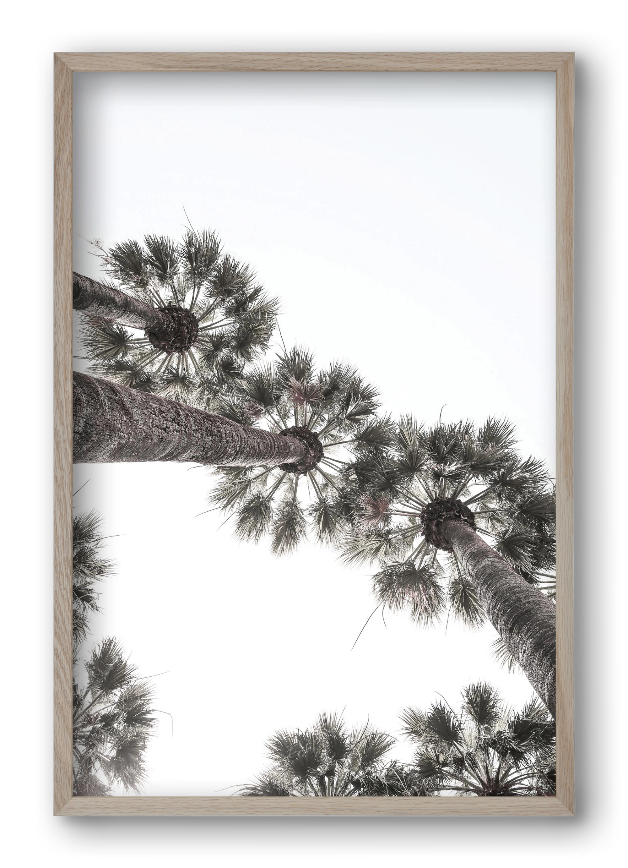 Bodrum Plams, 40x60 cm (40x60 cm), Tölgy keret