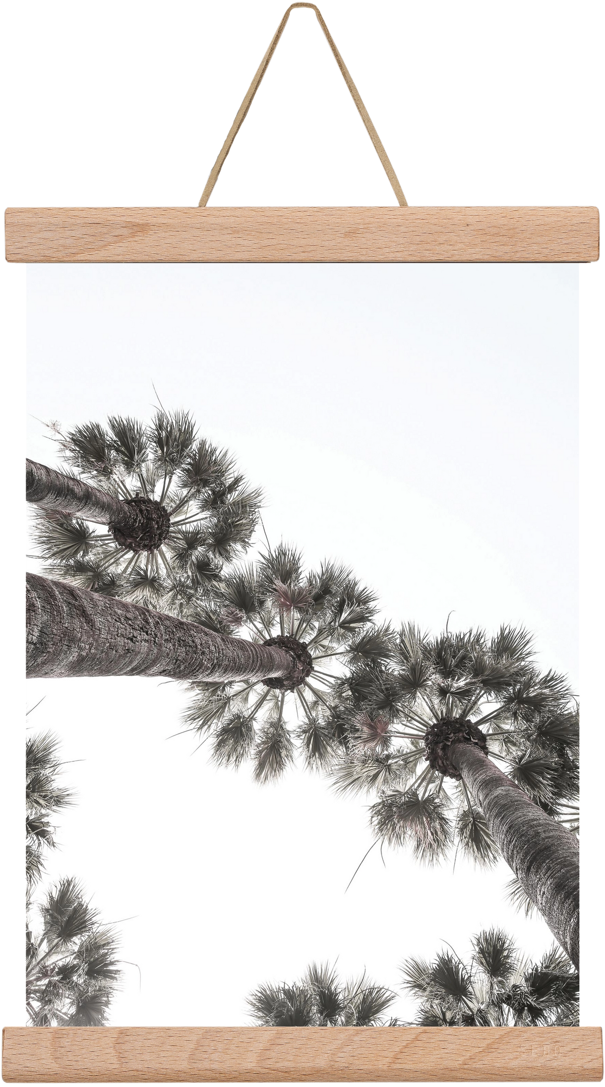 Bodrum Plams, 20x30 cm (20x30 cm), Tölgy akasztó