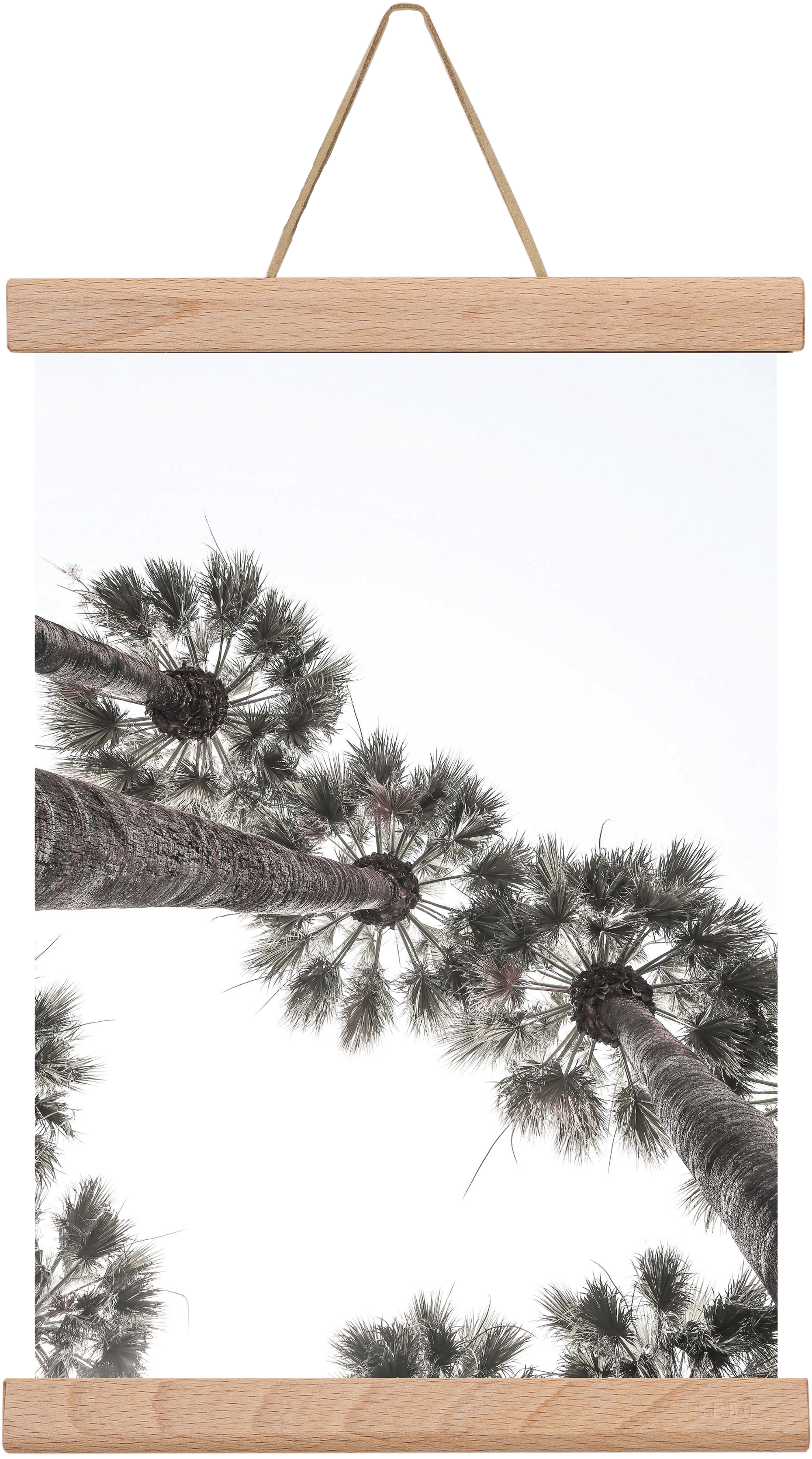 Bodrum Plams, 20x30 cm (20x30 cm), Tölgy akasztó