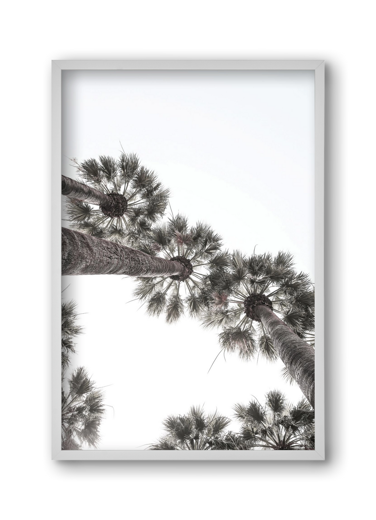 Bodrum Plams, 30x45 cm (30x45 cm), Fehér keret