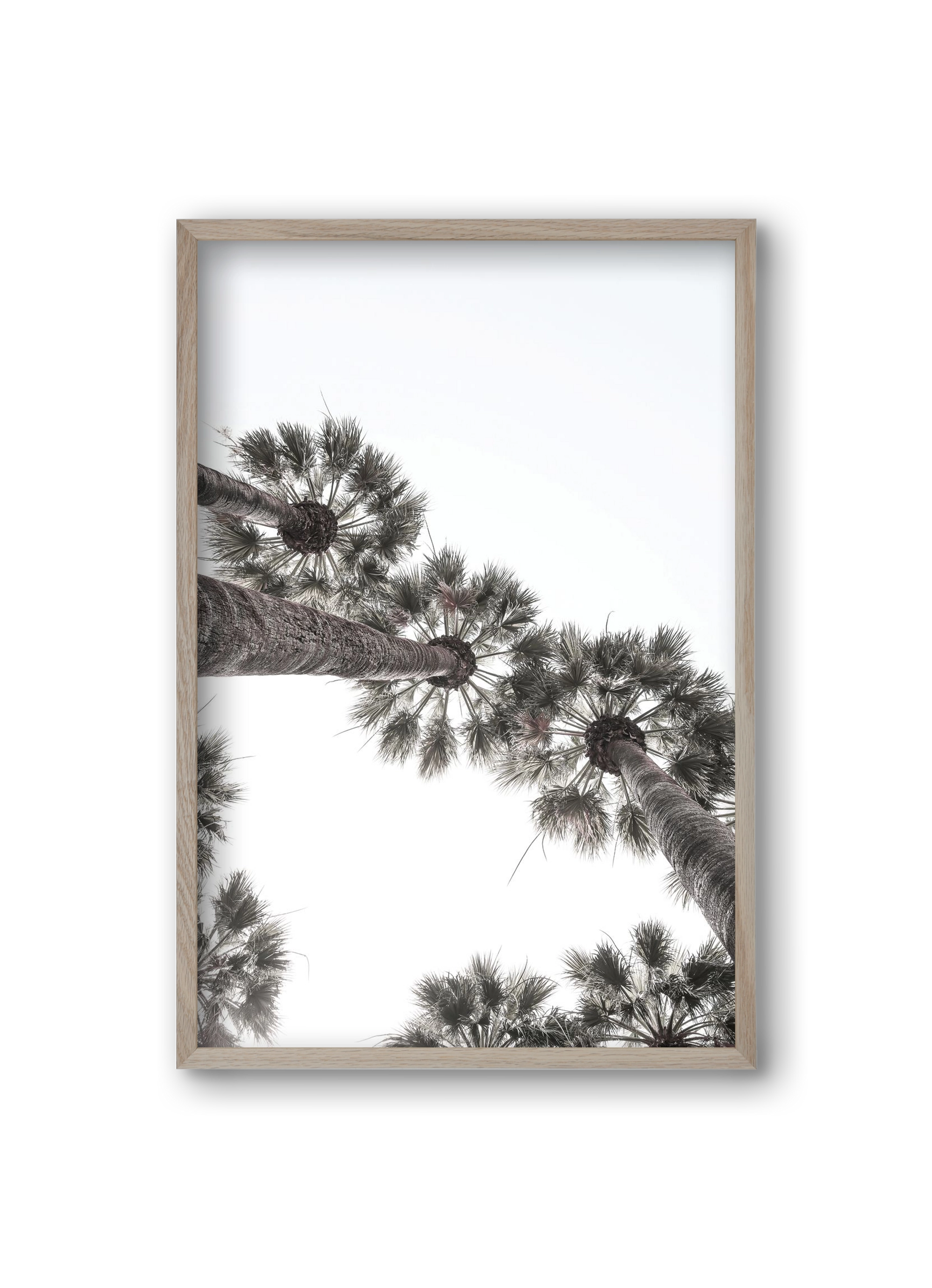 Bodrum Plams, 20x30 cm (20x30 cm), Tölgy keret