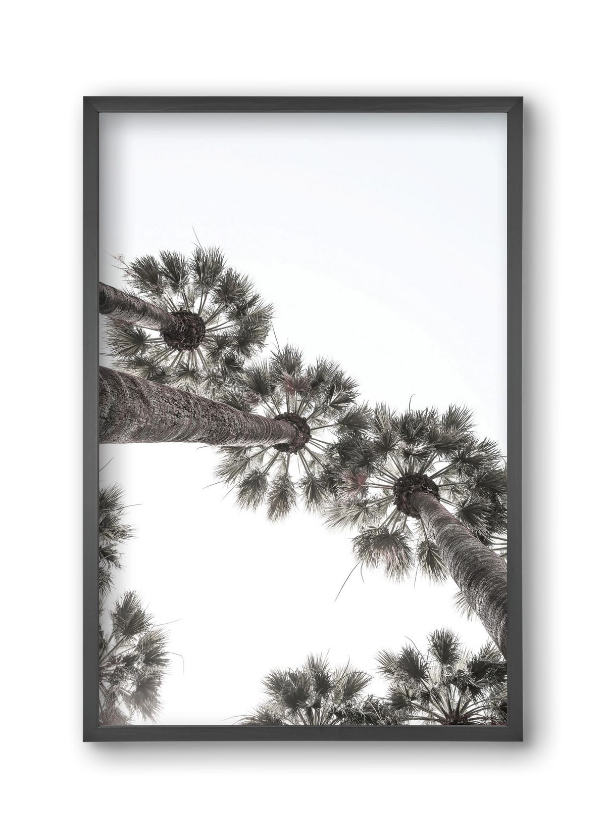 Bodrum Plams, 30x45 cm (30x45 cm), Fekete keret