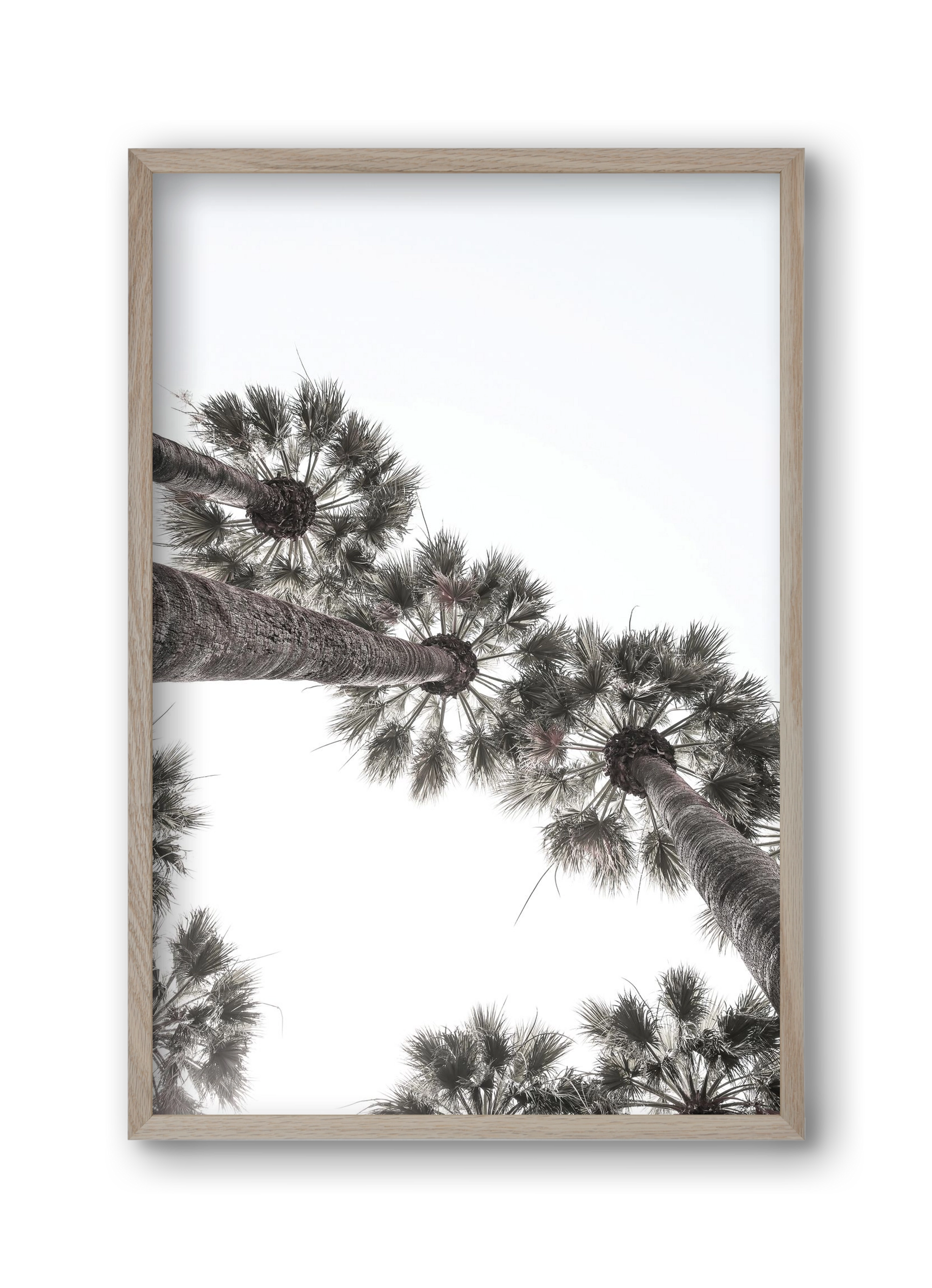 Bodrum Plams, 30x45 cm (30x45 cm), Tölgy keret