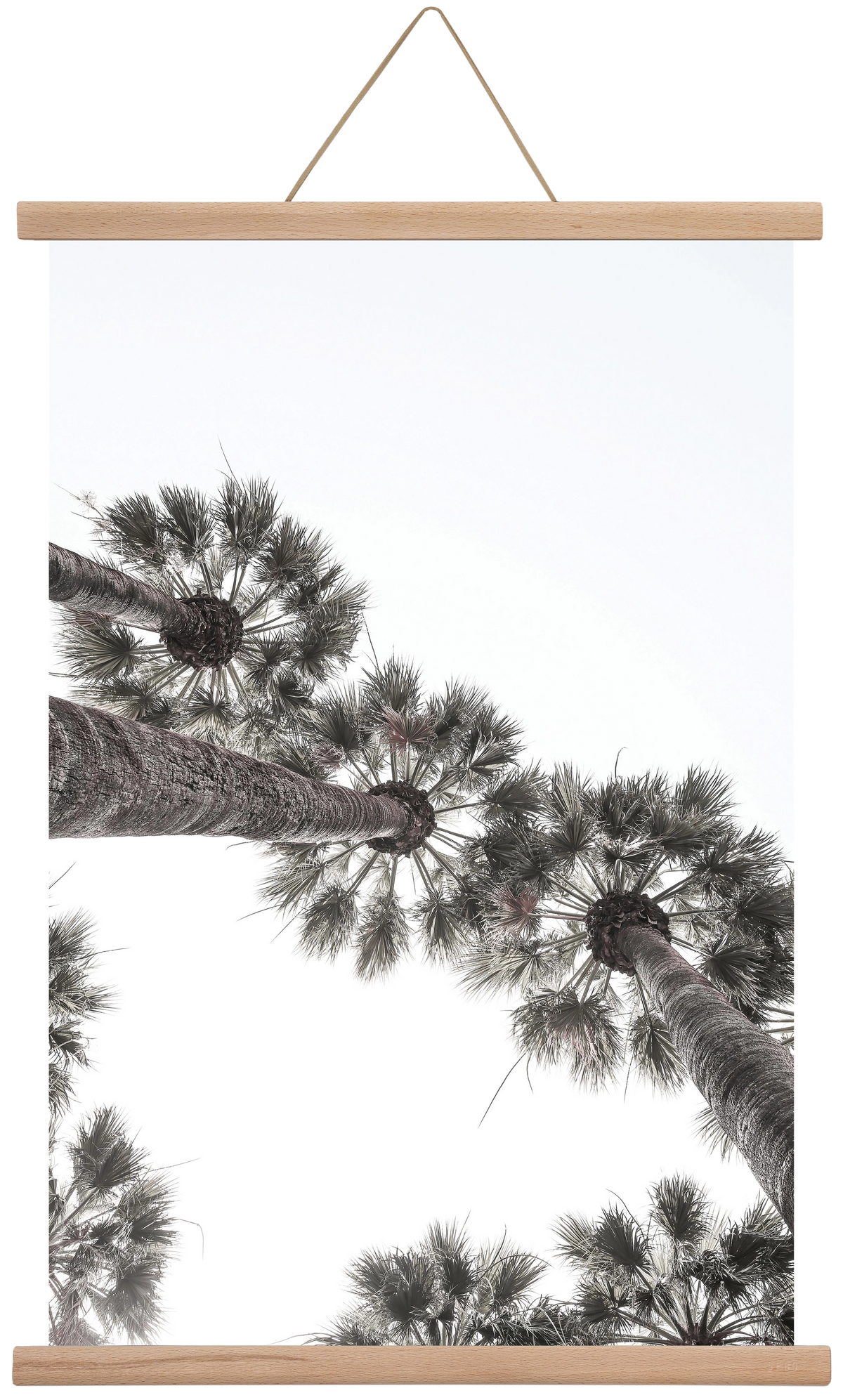 Bodrum Plams, 40x60 cm (40x60 cm), Tölgy akasztó