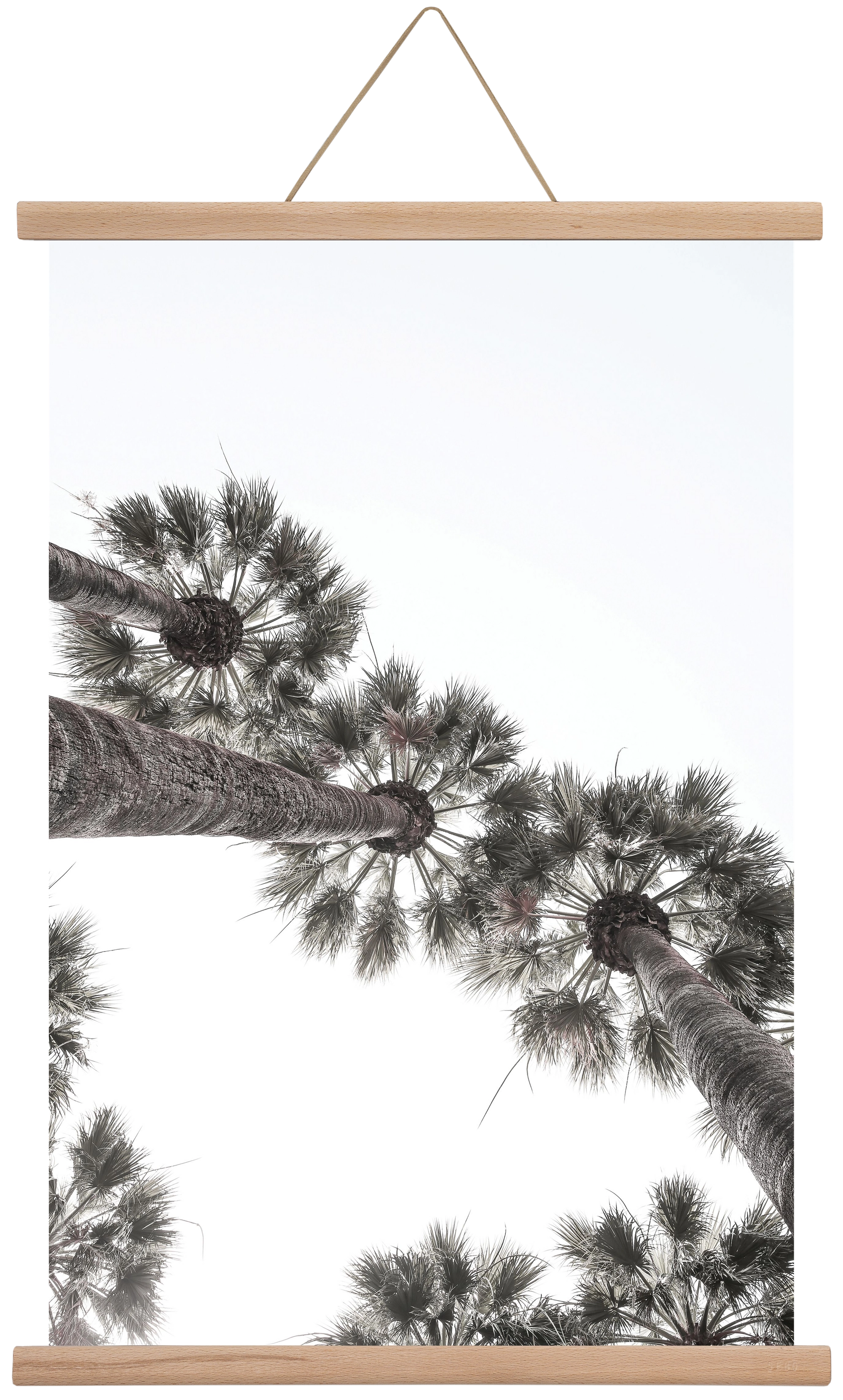 Bodrum Plams, 40x60 cm (40x60 cm), Tölgy akasztó