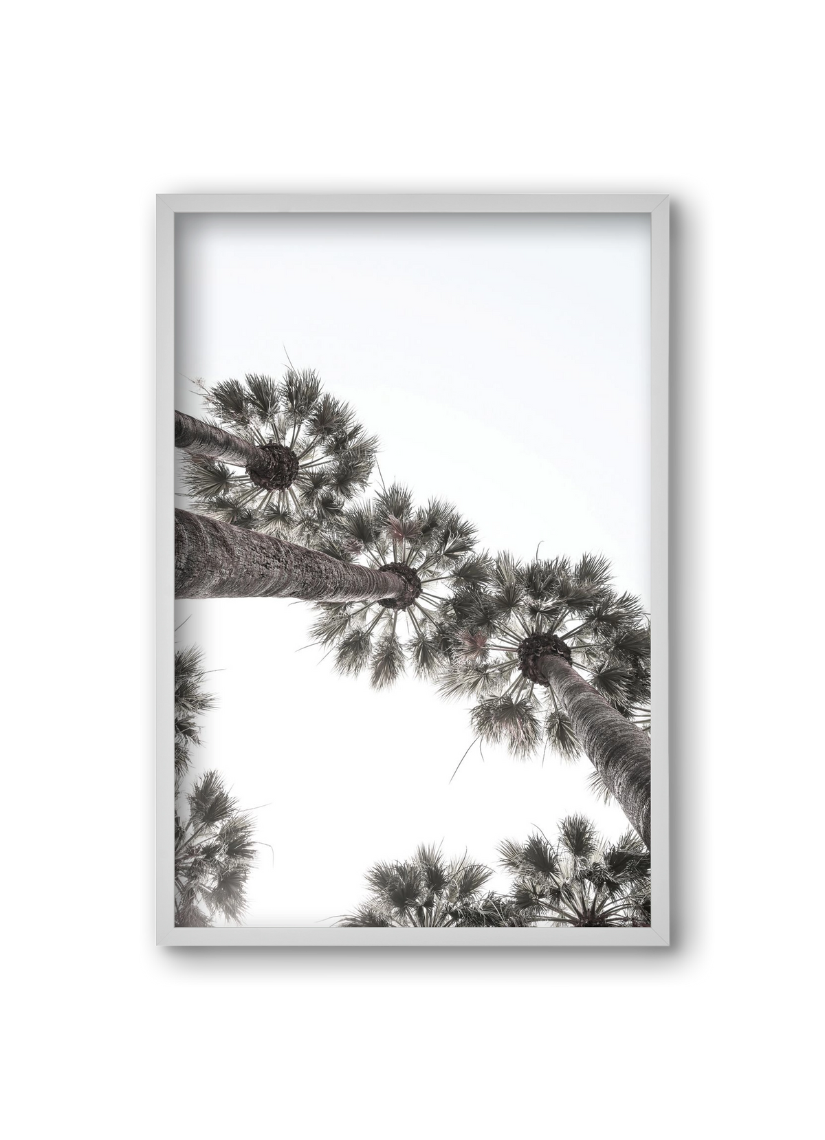 Bodrum Plams, 20x30 cm (20x30 cm), Fehér keret