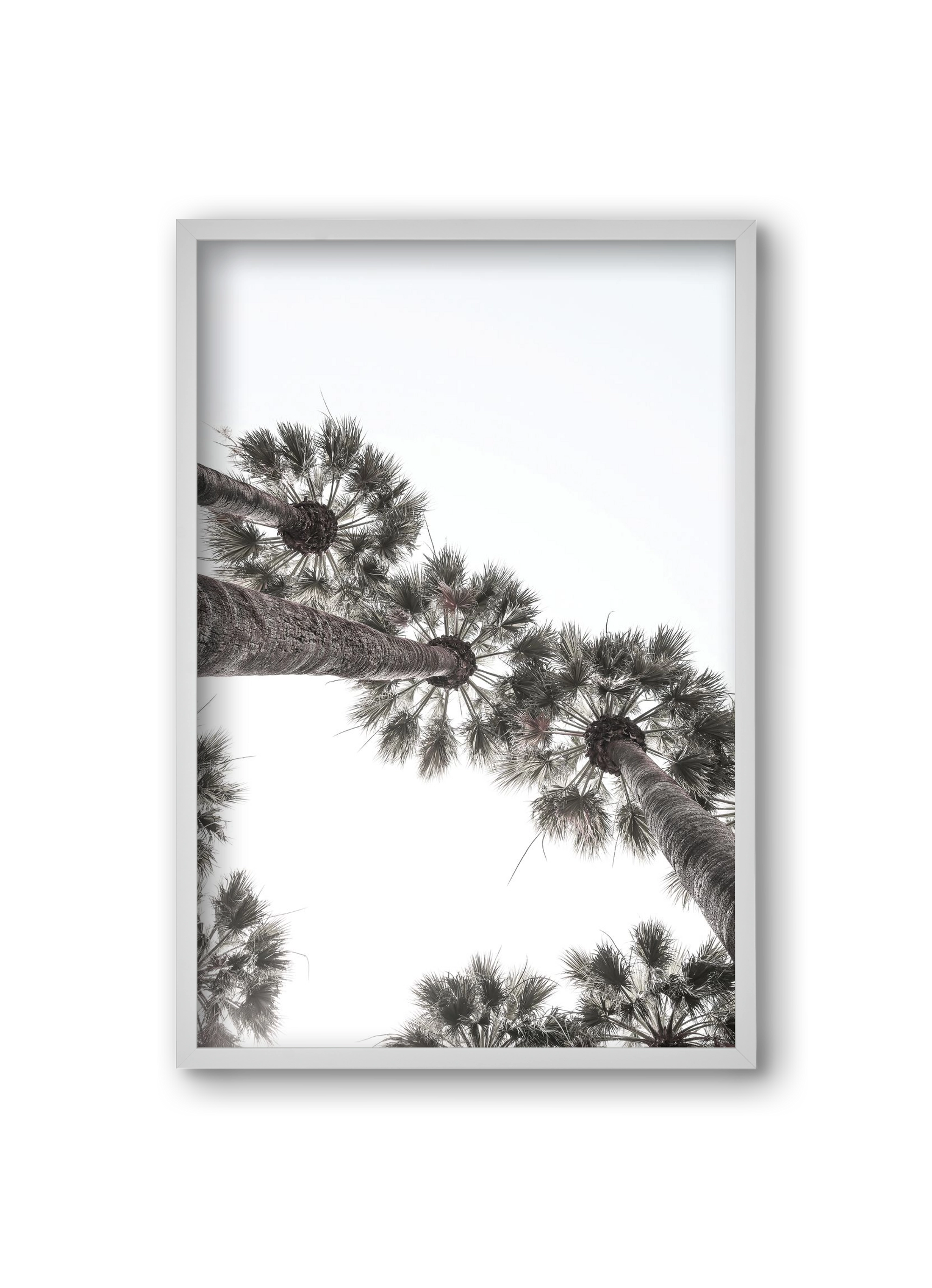 Bodrum Plams, 20x30 cm (20x30 cm), Fehér keret