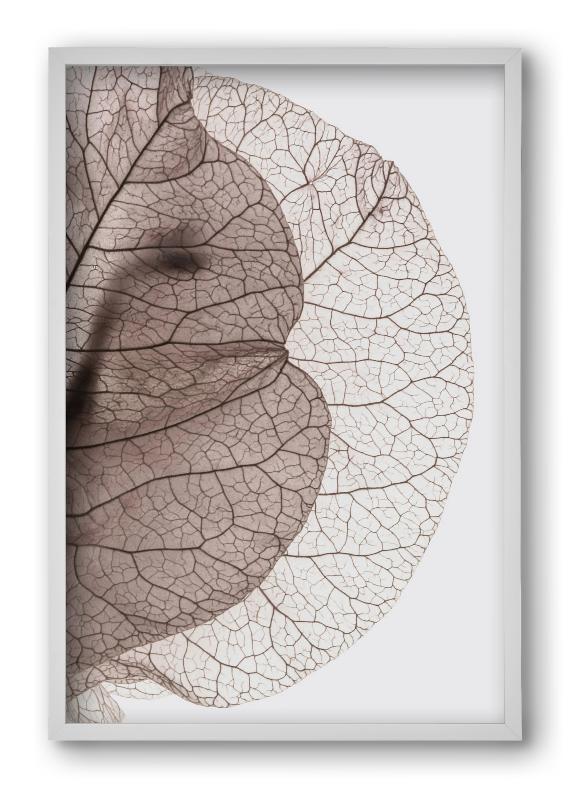 Bougainvillea Island, 40x60 cm (40x60 cm), Fehér keret