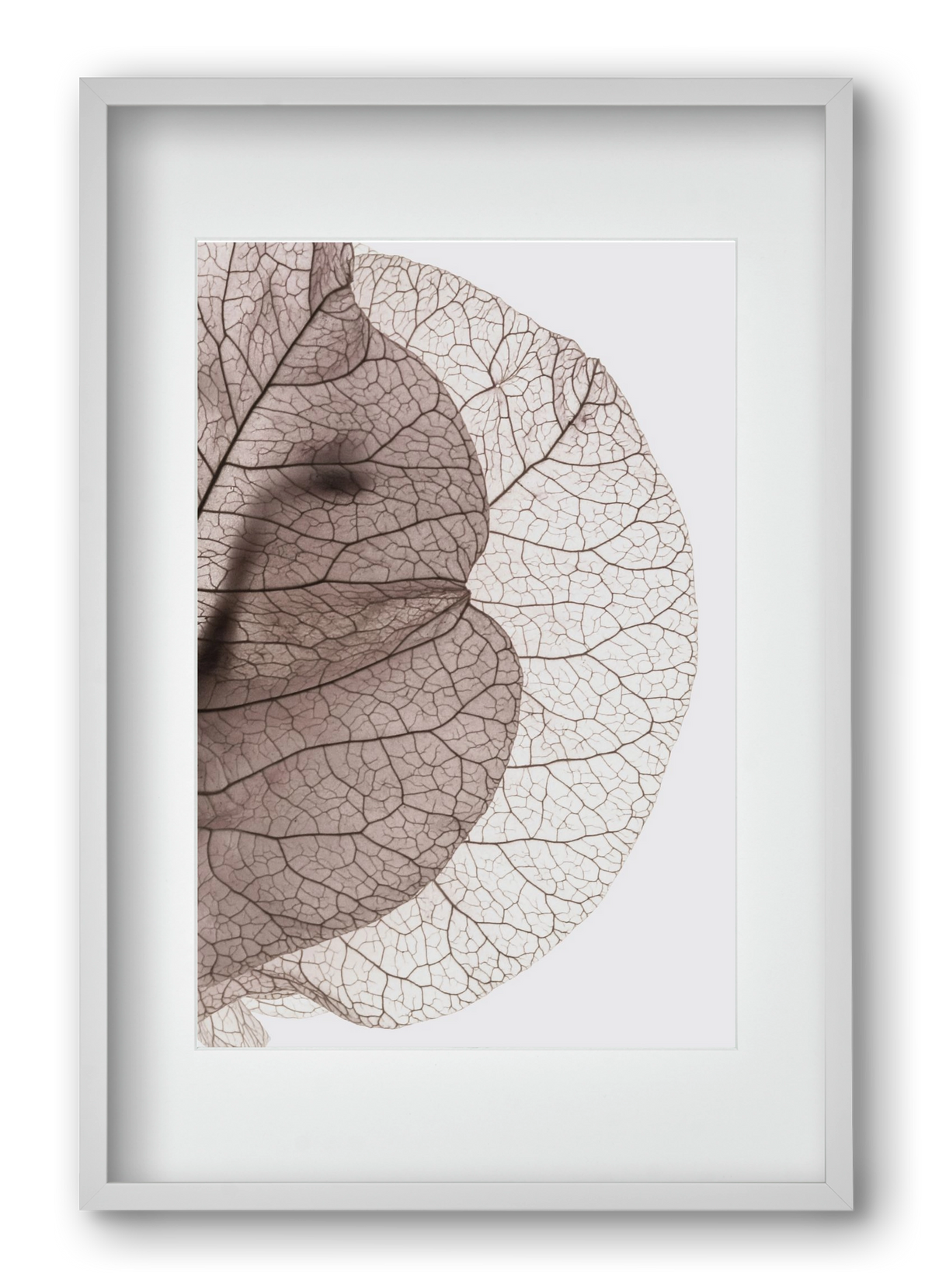 Bougainvillea Island, 40x60 cm (30x45 cm), Fehér keret, paszpartuval