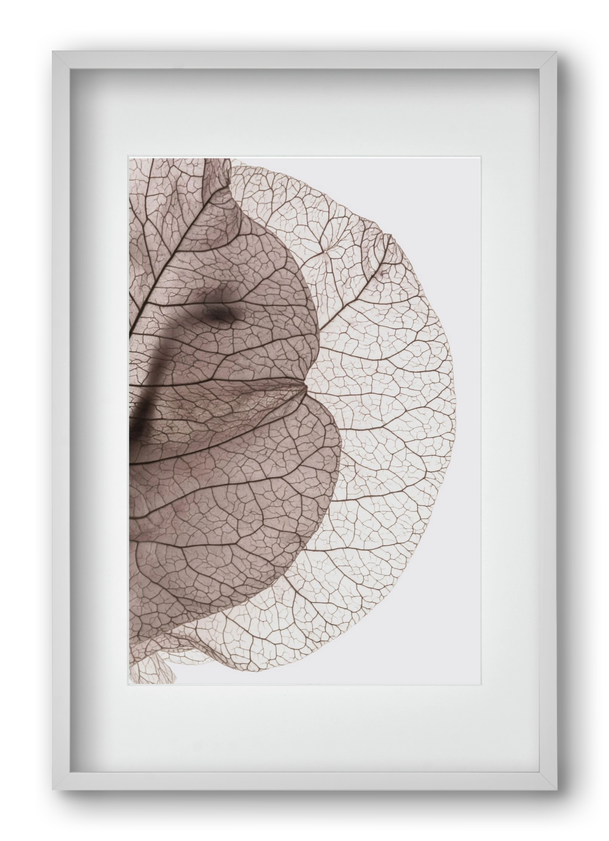 Bougainvillea Island, 40x60 cm (30x45 cm), Fehér keret, paszpartuval