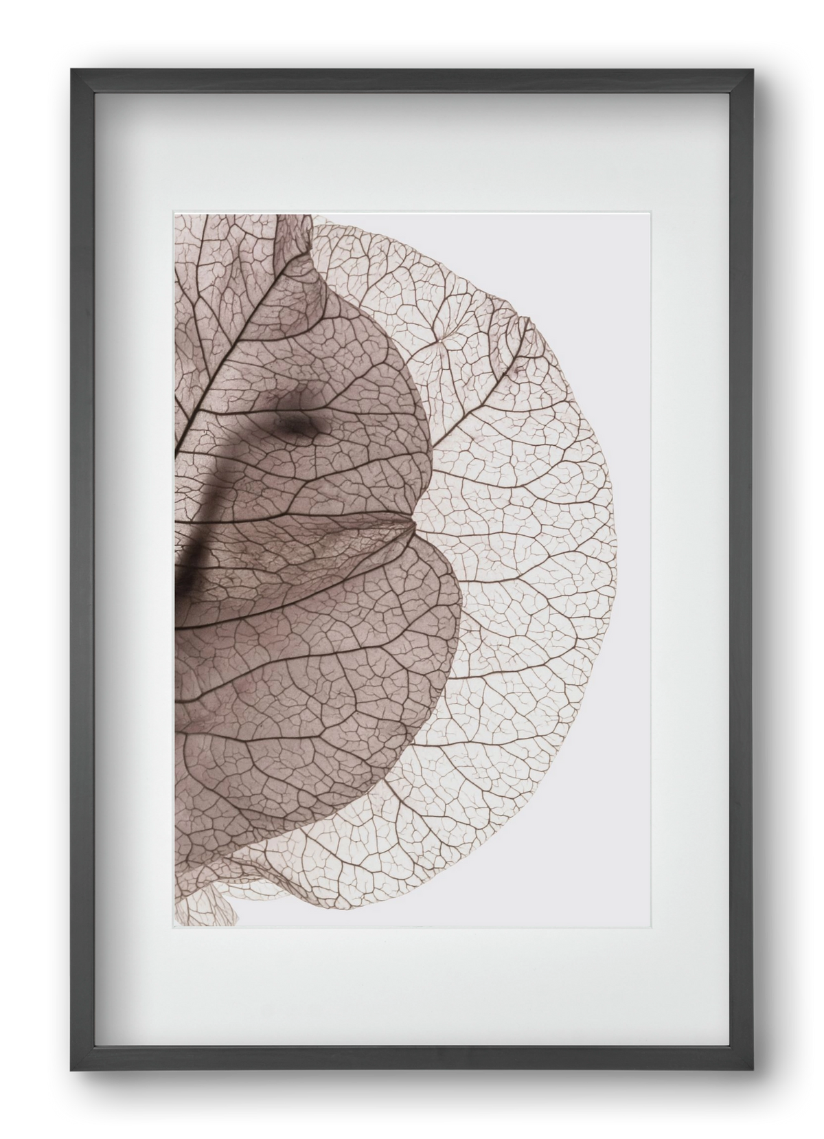 Bougainvillea Island, 40x60 cm (30x45 cm), Fekete keret, paszpartuval