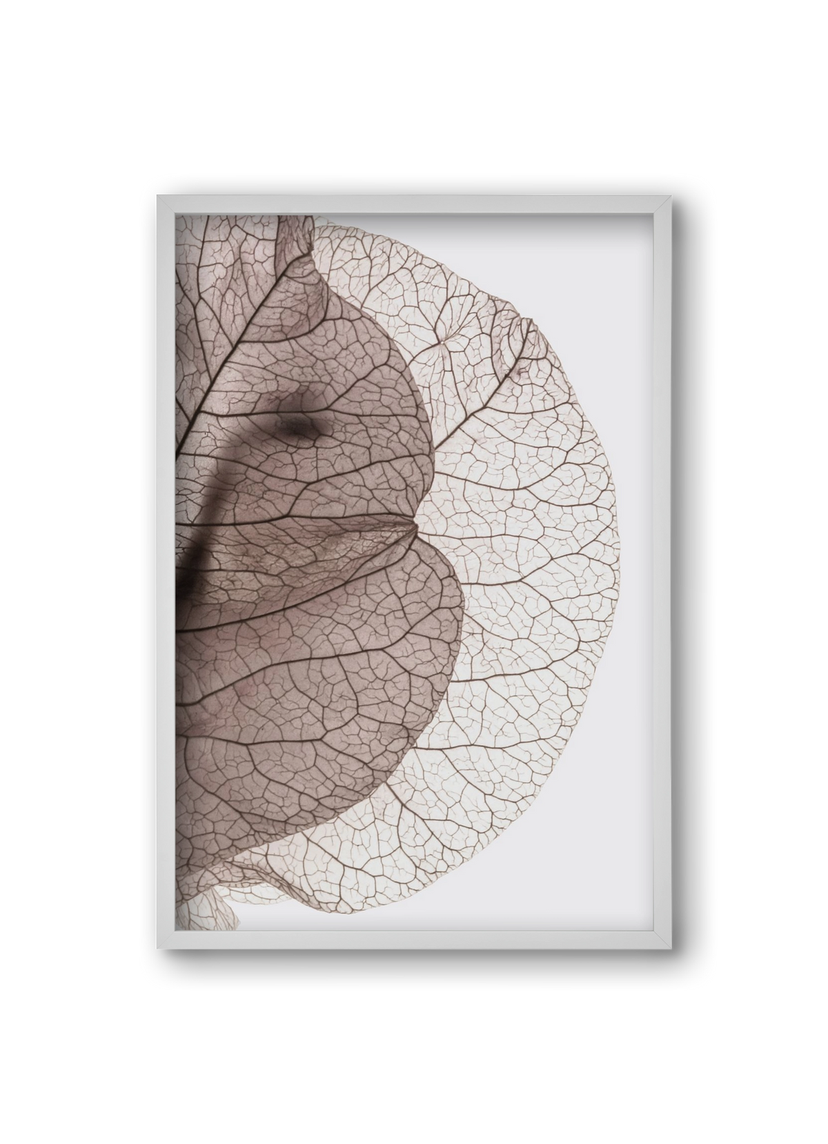 Bougainvillea Island, 20x30 cm (20x30 cm), Fehér keret