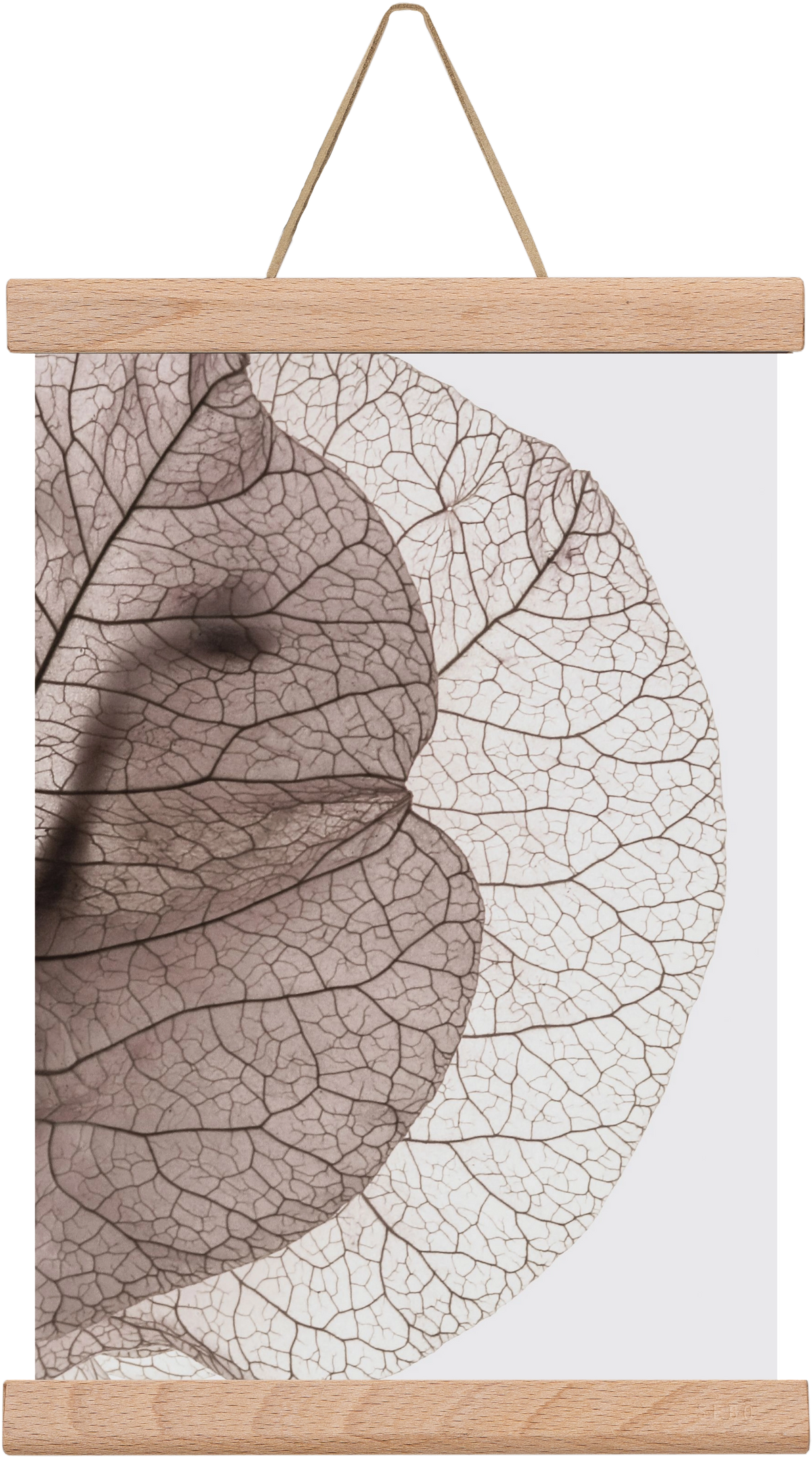 Bougainvillea Island, 20x30 cm (20x30 cm), Tölgy akasztó