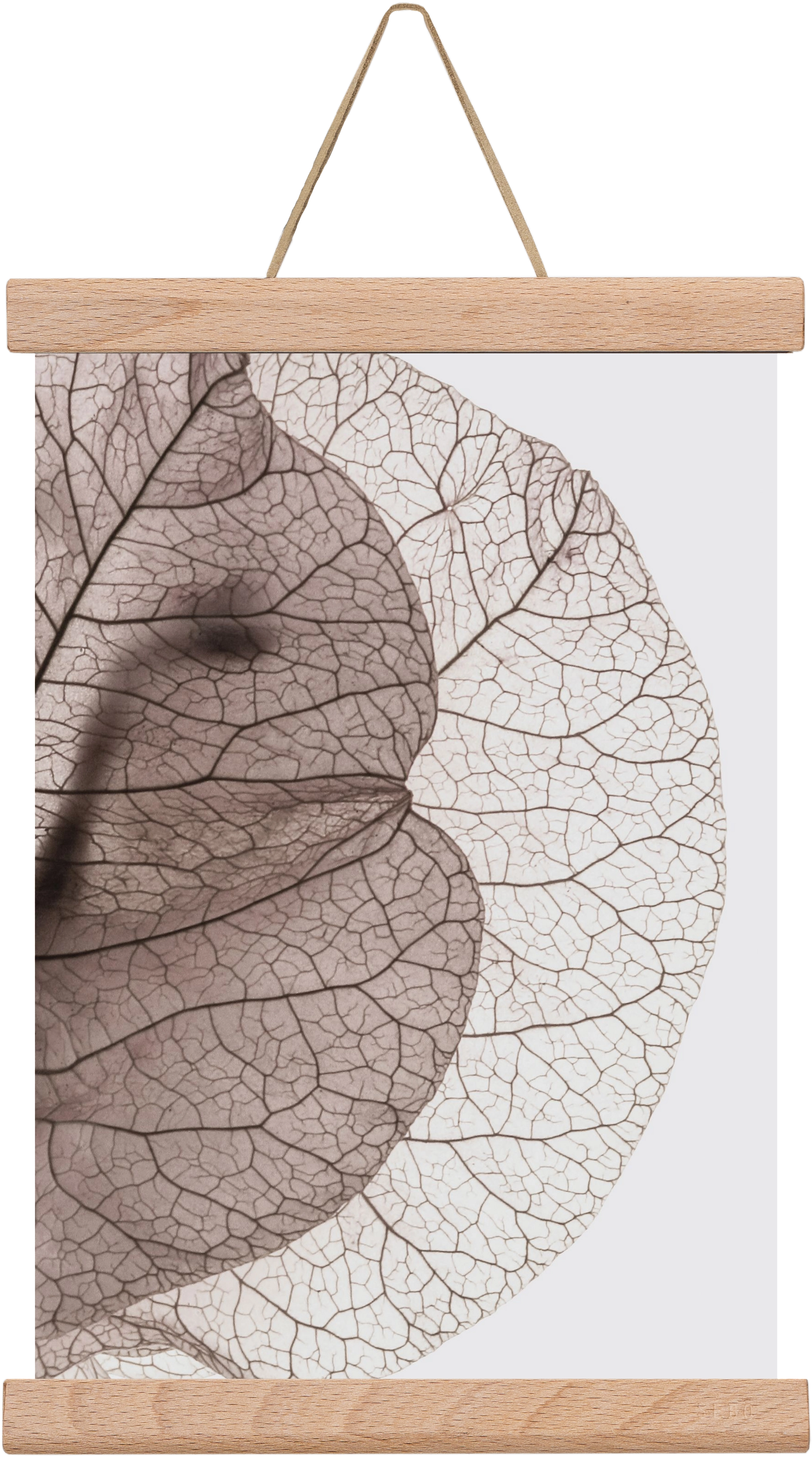 Bougainvillea Island, 20x30 cm (20x30 cm), Tölgy akasztó