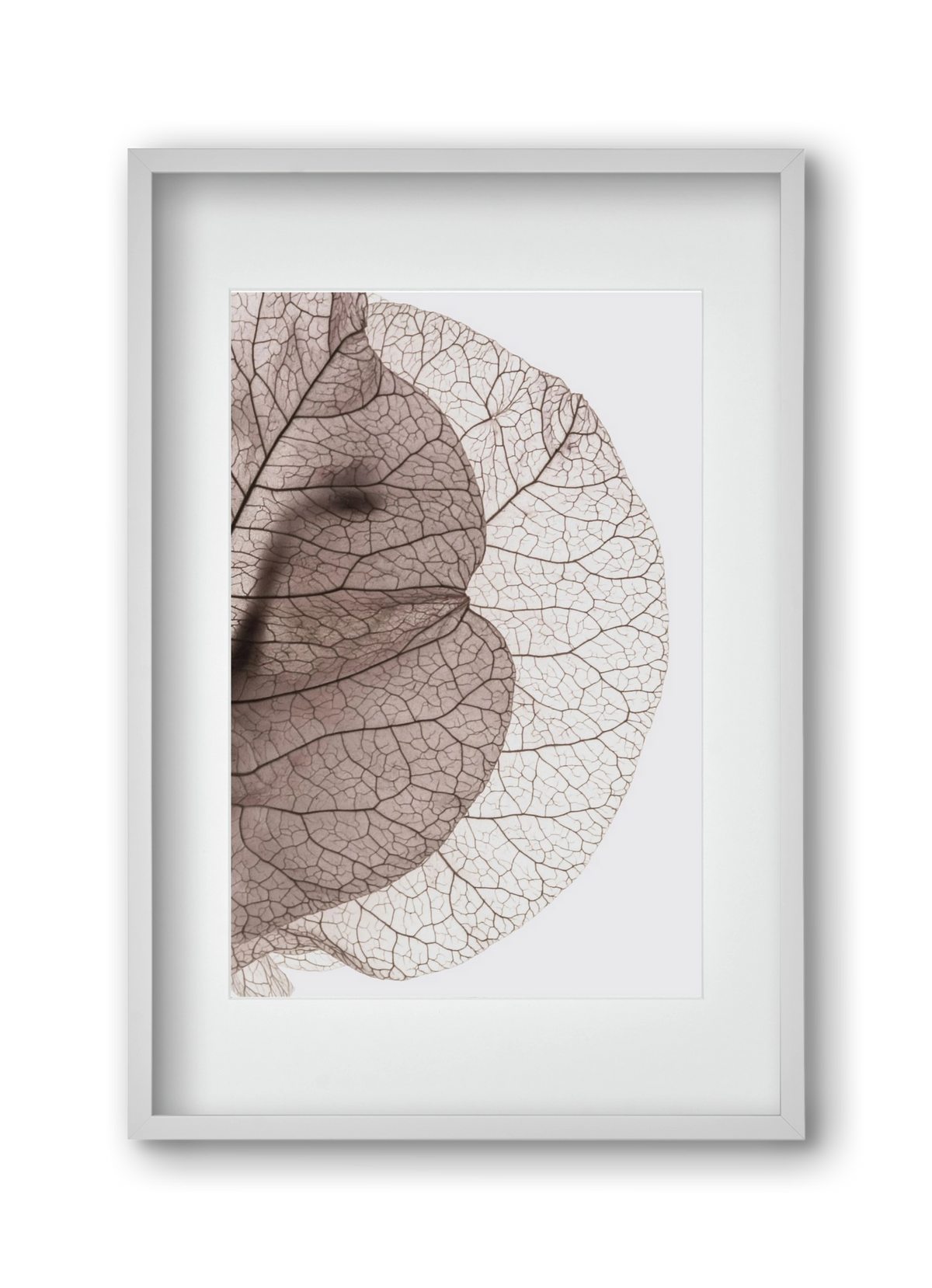 Bougainvillea Island, 30x45 cm (20x30 cm), Fehér keret, paszpartuval