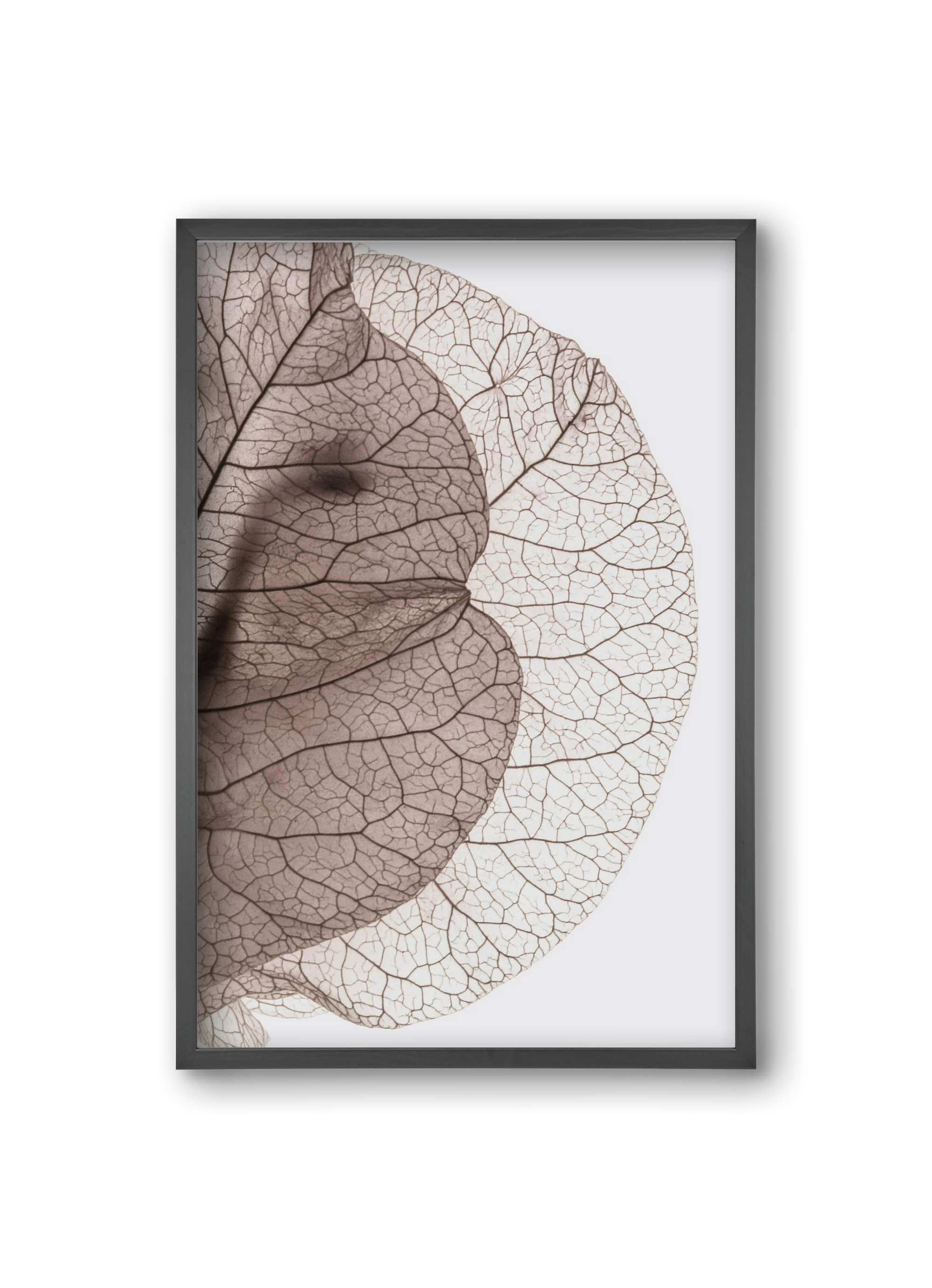 Bougainvillea Island, 20x30 cm (20x30 cm), Fekete keret