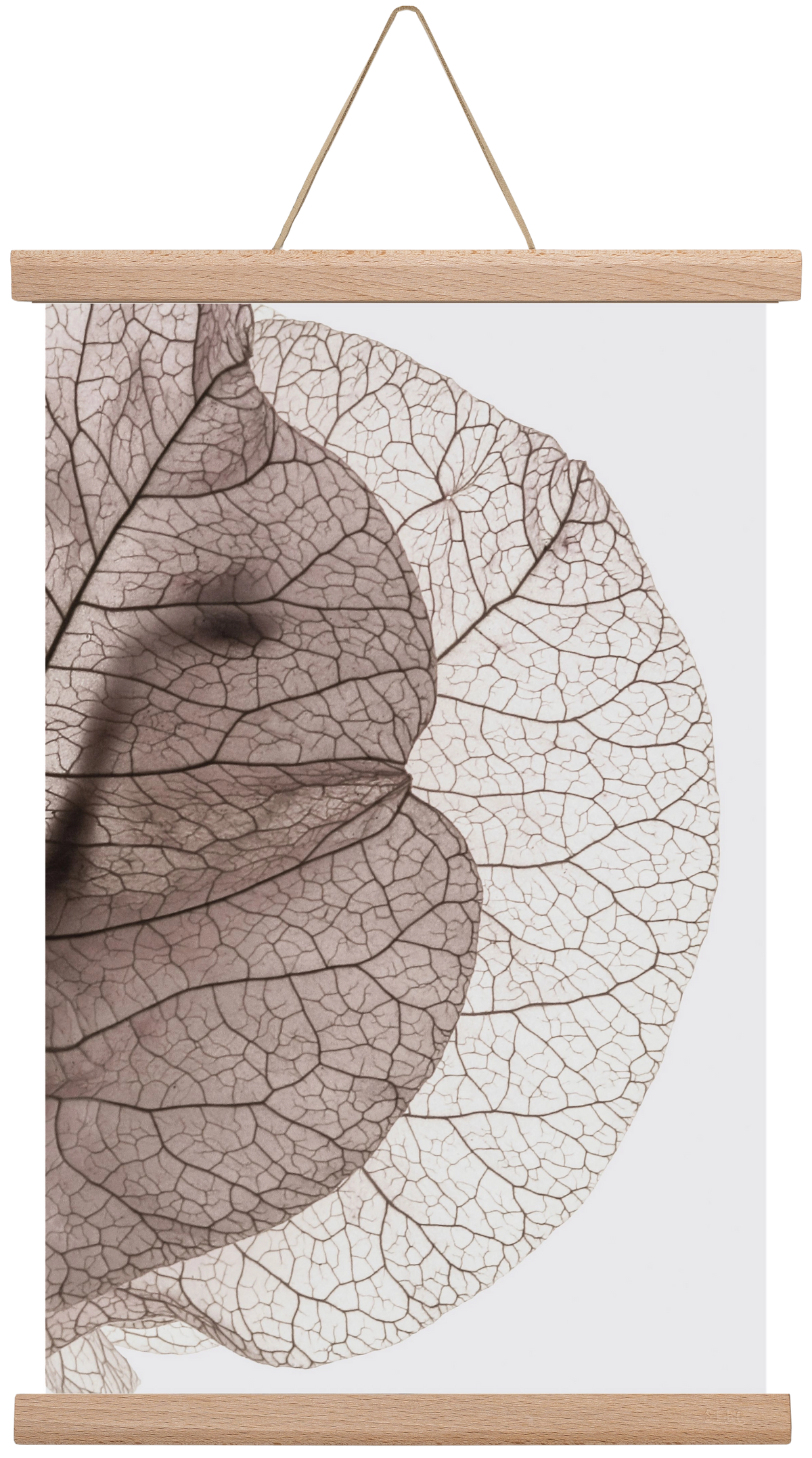 Bougainvillea Island, 30x45 cm (30x45 cm), Tölgy akasztó