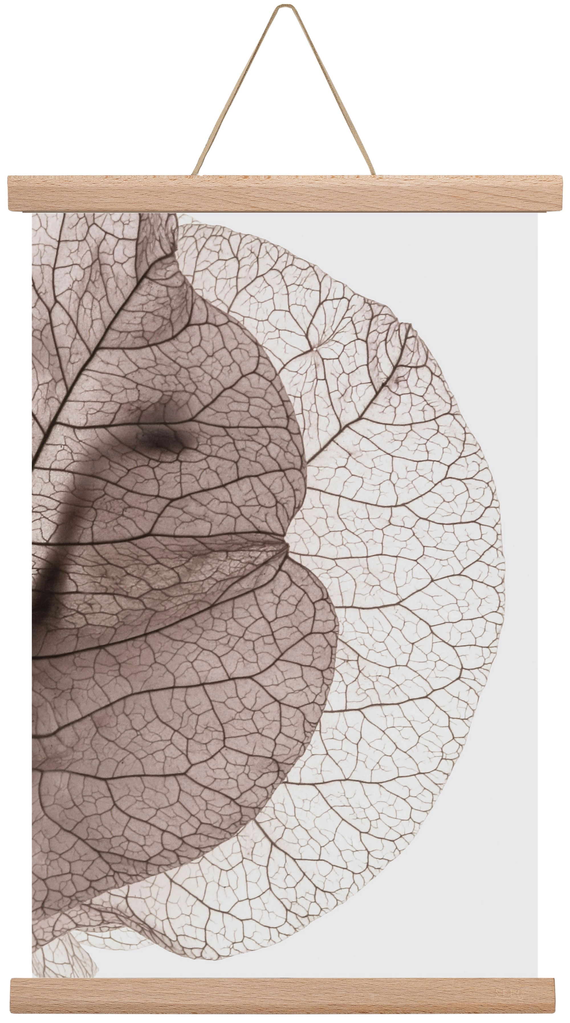 Bougainvillea Island, 30x45 cm (30x45 cm), Tölgy akasztó