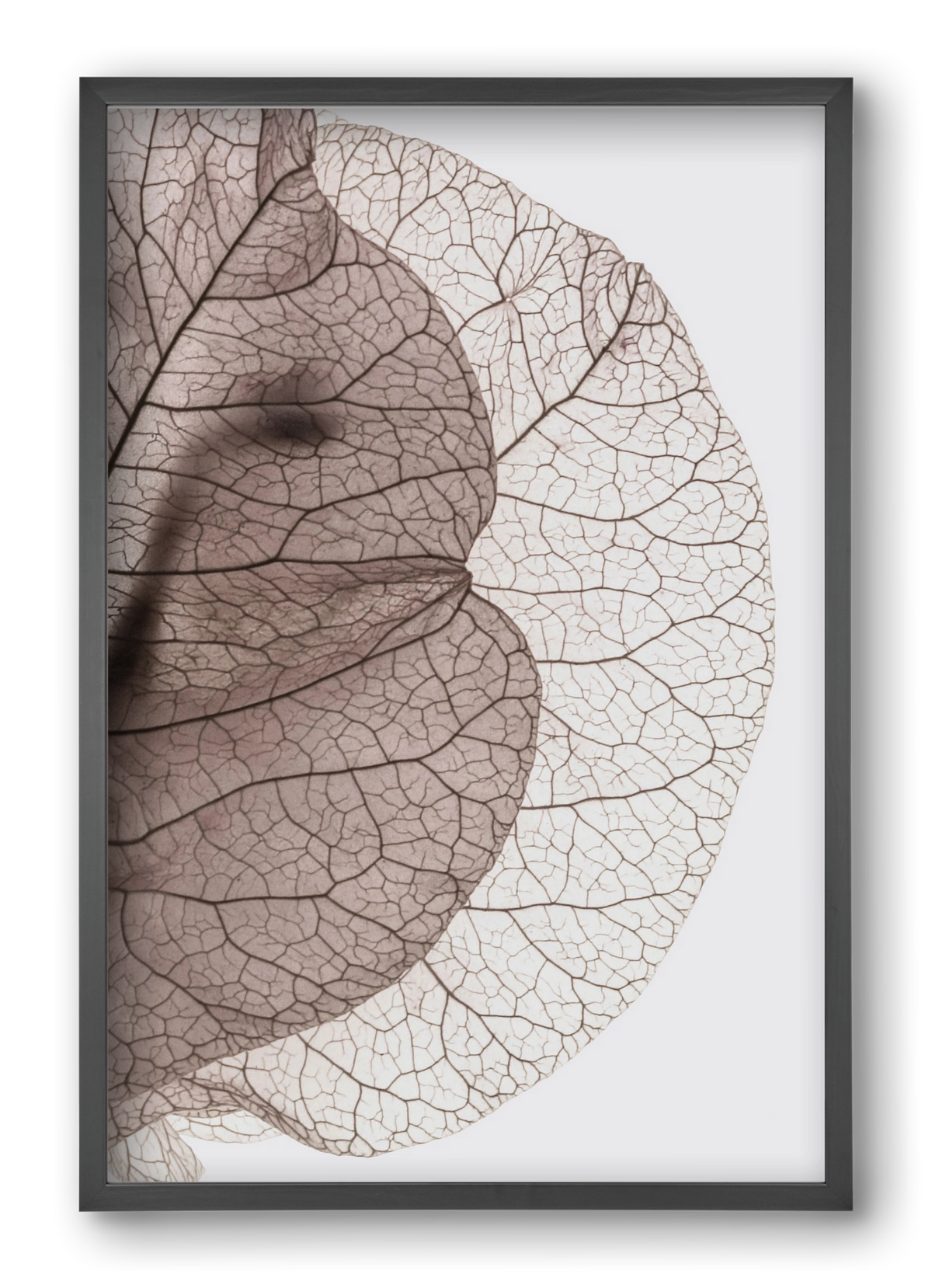 Bougainvillea Island, 40x60 cm (40x60 cm), Fekete keret