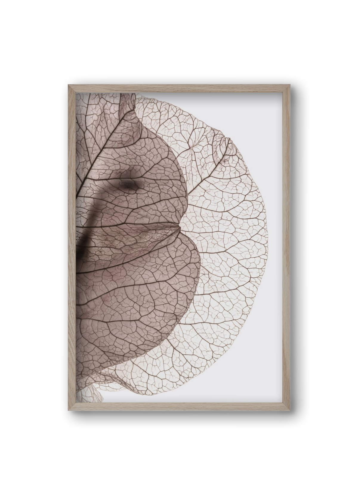 Bougainvillea Island, 20x30 cm (20x30 cm), Tölgy keret