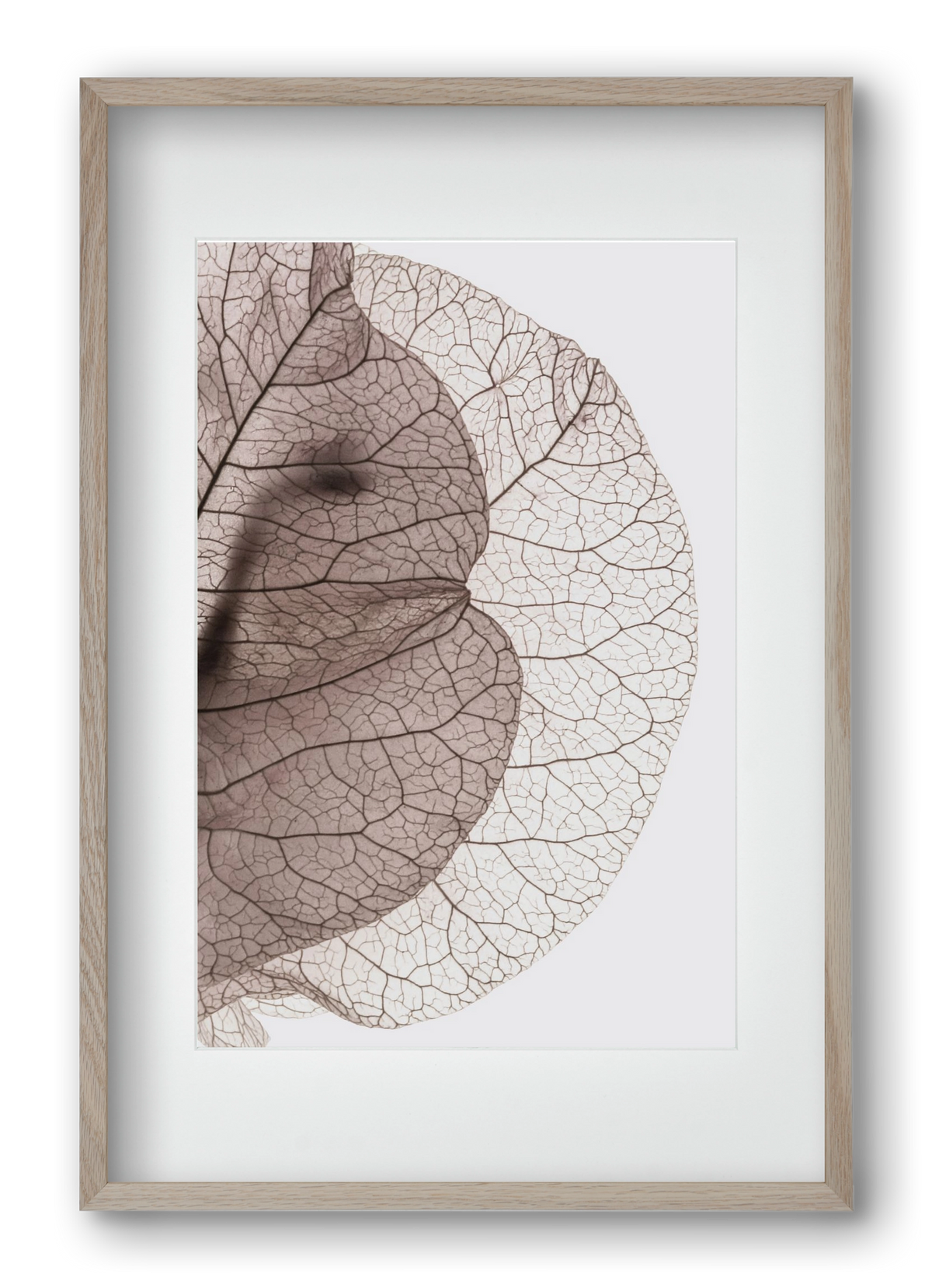 Bougainvillea Island, 40x60 cm (30x45 cm), Tölgy keret, paszpartuval