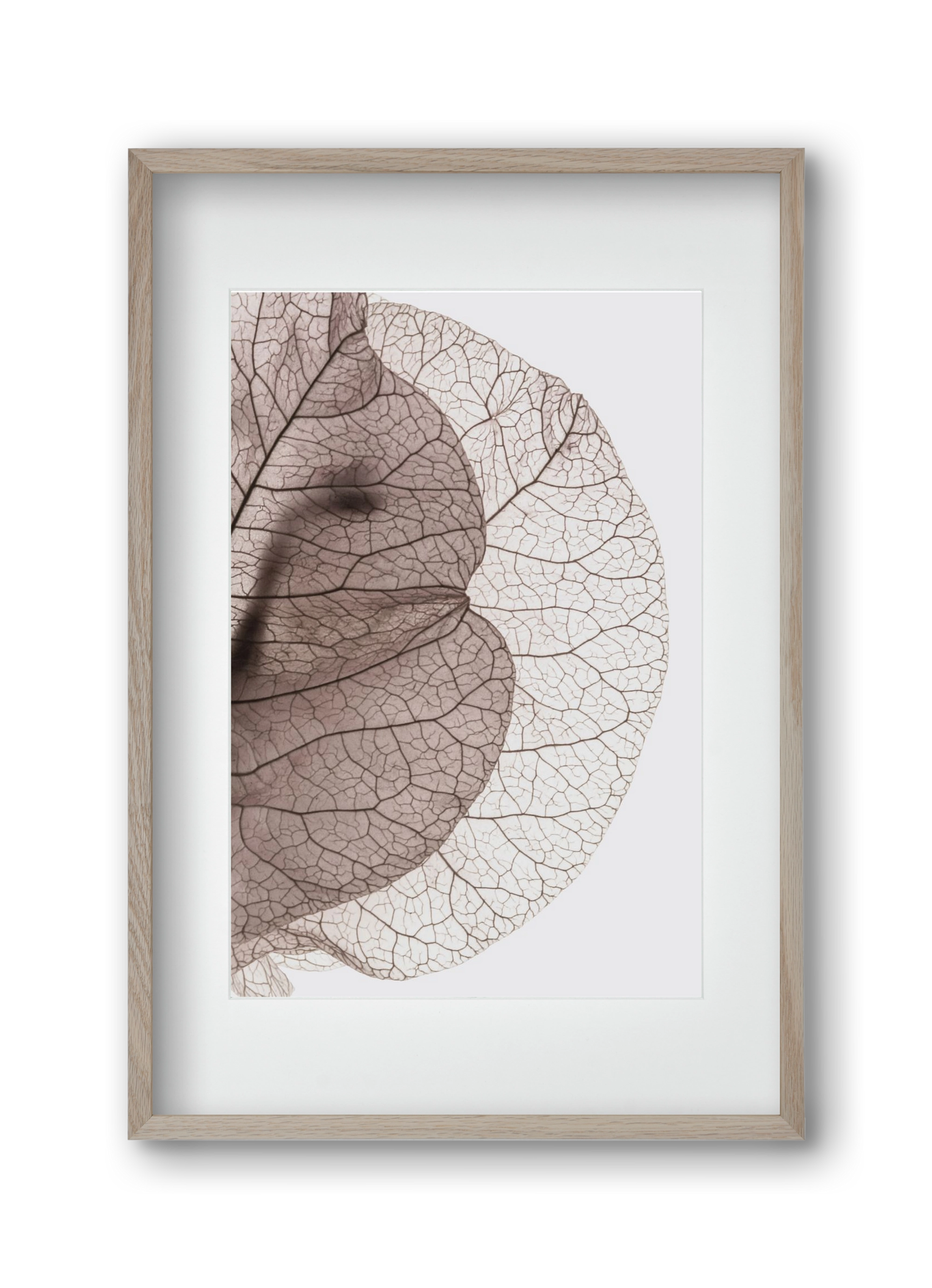 Bougainvillea Island, 30x45 cm (20x30 cm), Tölgy keret, paszpartuval