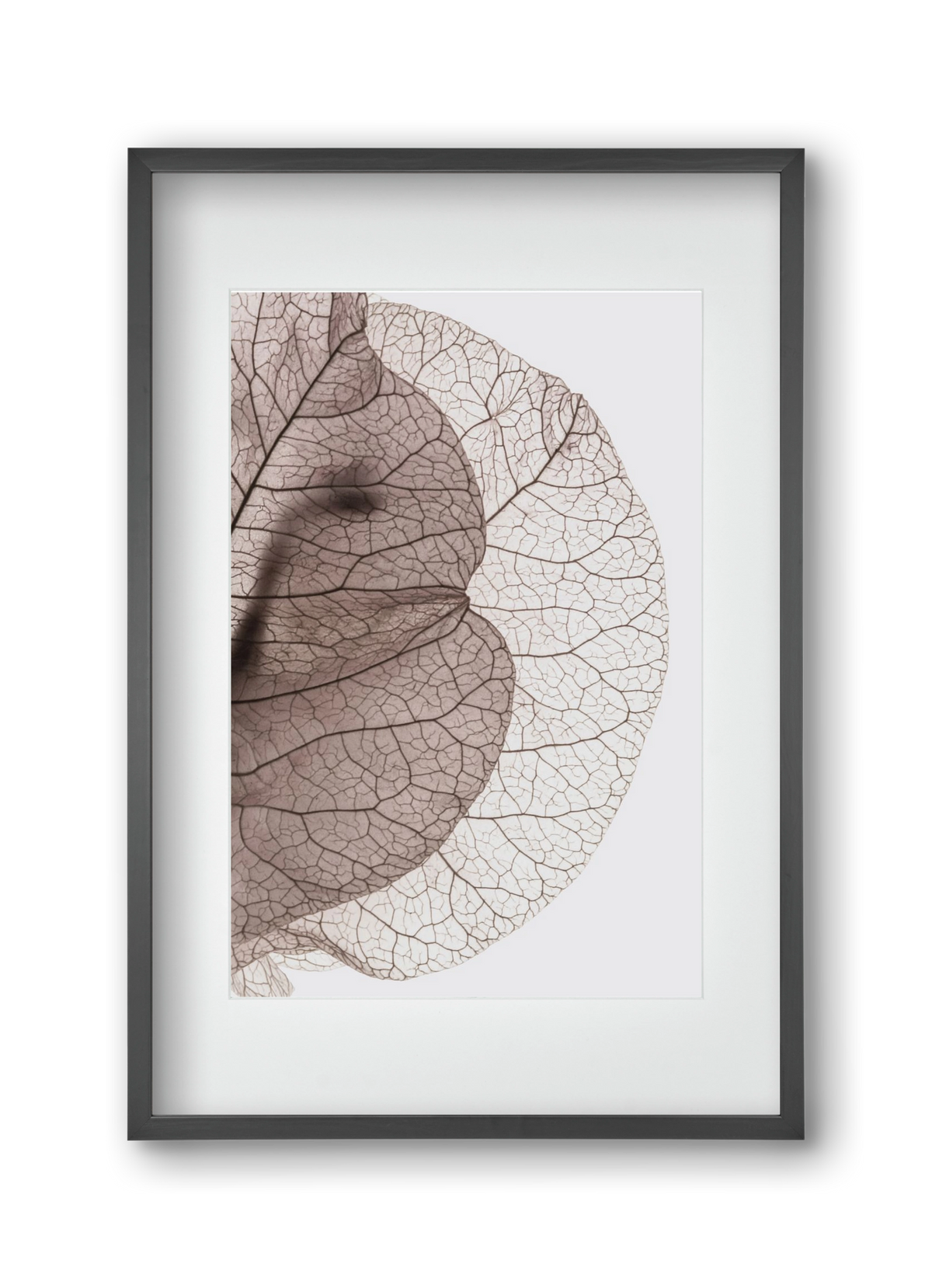 Bougainvillea Island, 30x45 cm (20x30 cm), Fekete keret, paszpartuval