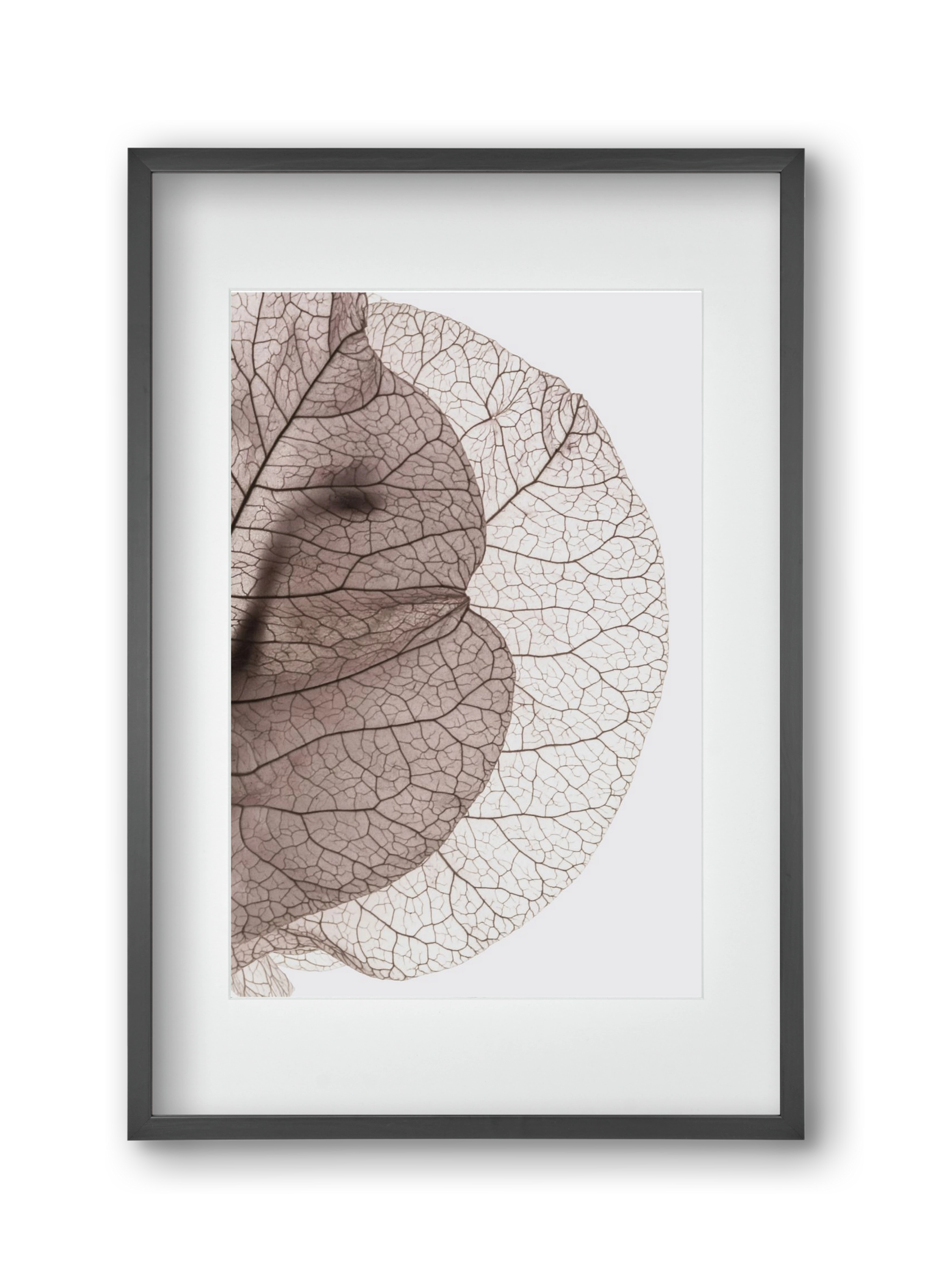 Bougainvillea Island, 30x45 cm (20x30 cm), Fekete keret, paszpartuval