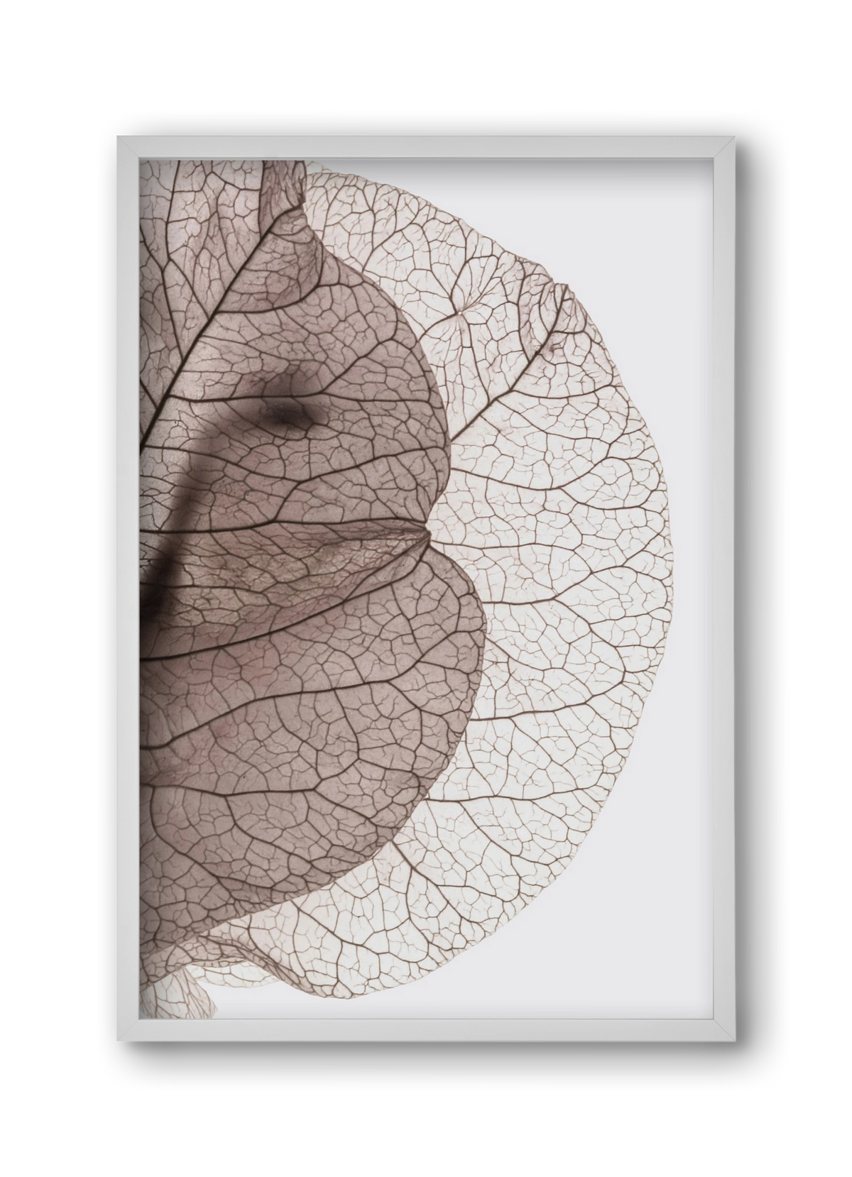 Bougainvillea Island, 30x45 cm (30x45 cm), Fehér keret