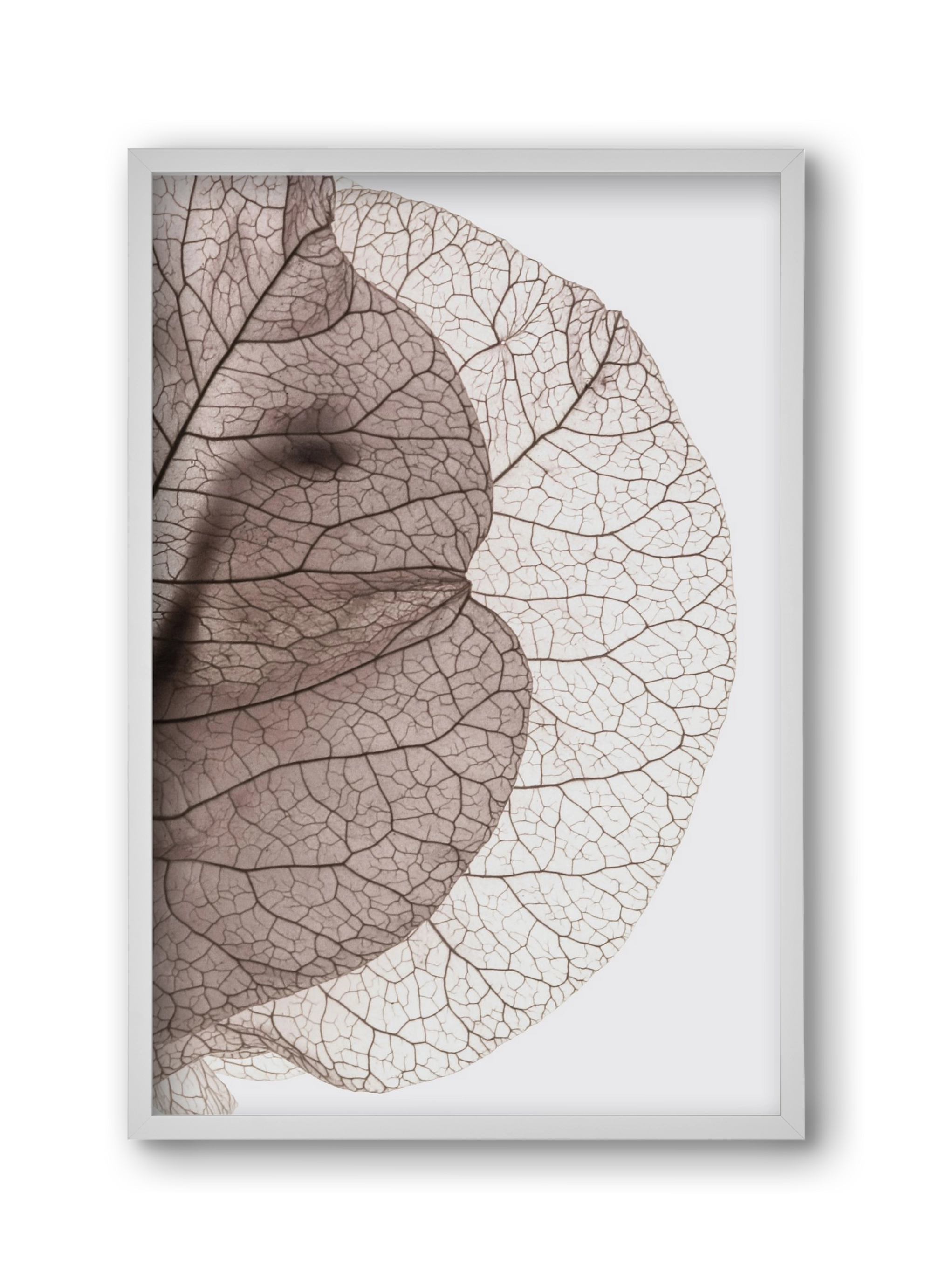 Bougainvillea Island, 30x45 cm (30x45 cm), Fehér keret